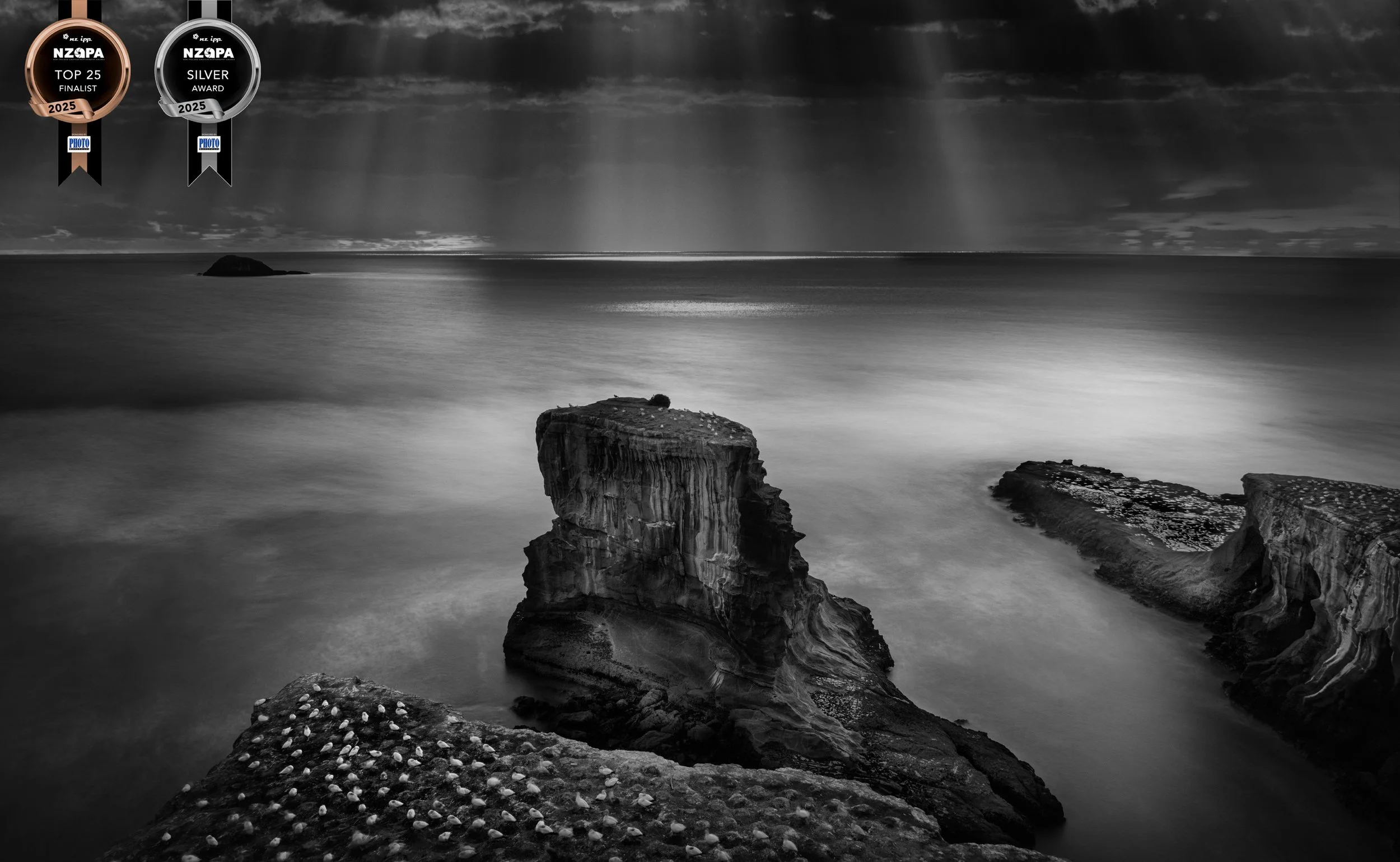 Solitude -Silver Medal, Top 25,  NZIPP Amateur Photographer of the Year, Aug 2025