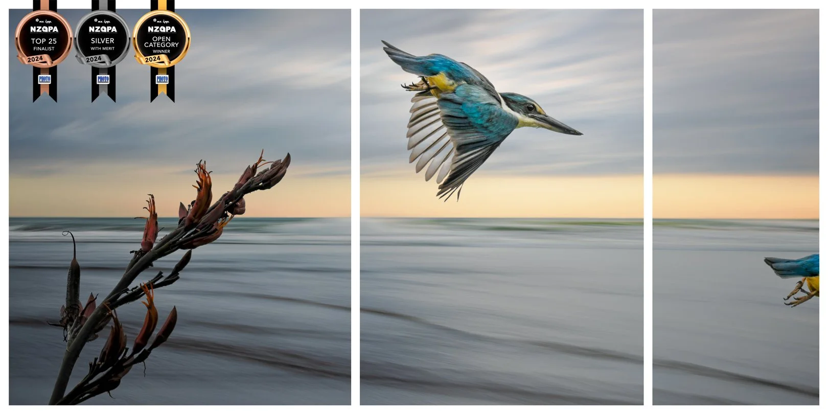The Kingfisher's Tale - Winner Open Category, Silver with Merit Medal, Top 25, NZIPP Amateur Photographer of the Year, Mar 2024, 