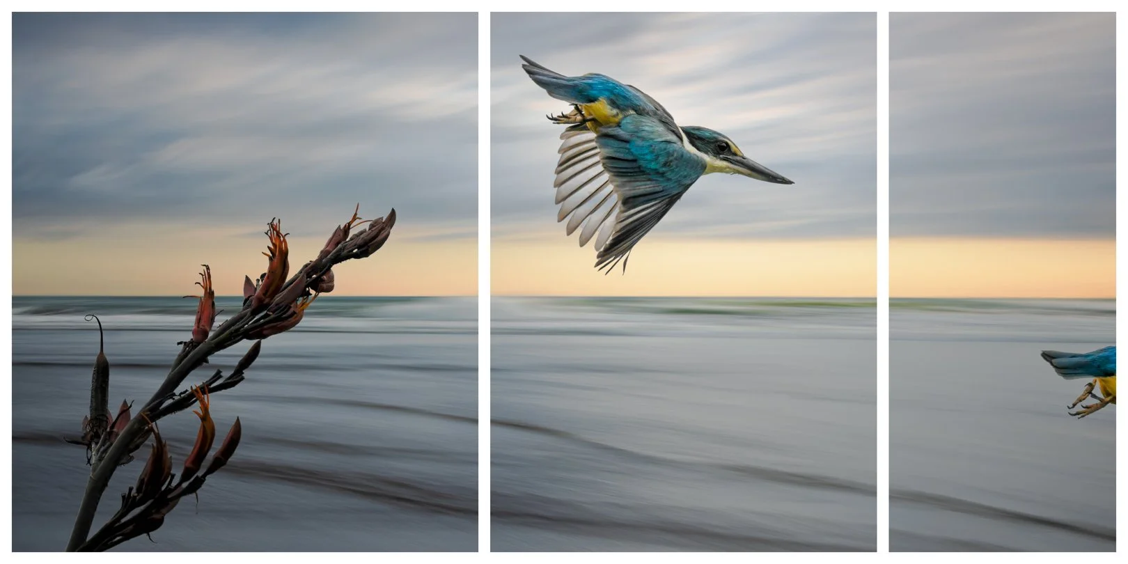 The Kingfisher's Tale