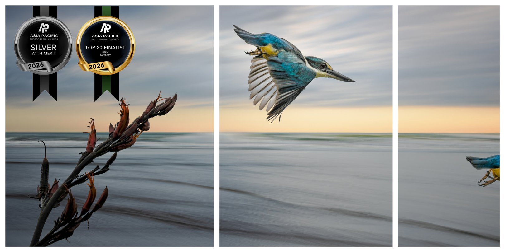 The Kingfisher's Tale- Silver with Merit, Top 20 and Top 10, Asia Pacific Awards, Mar 2026