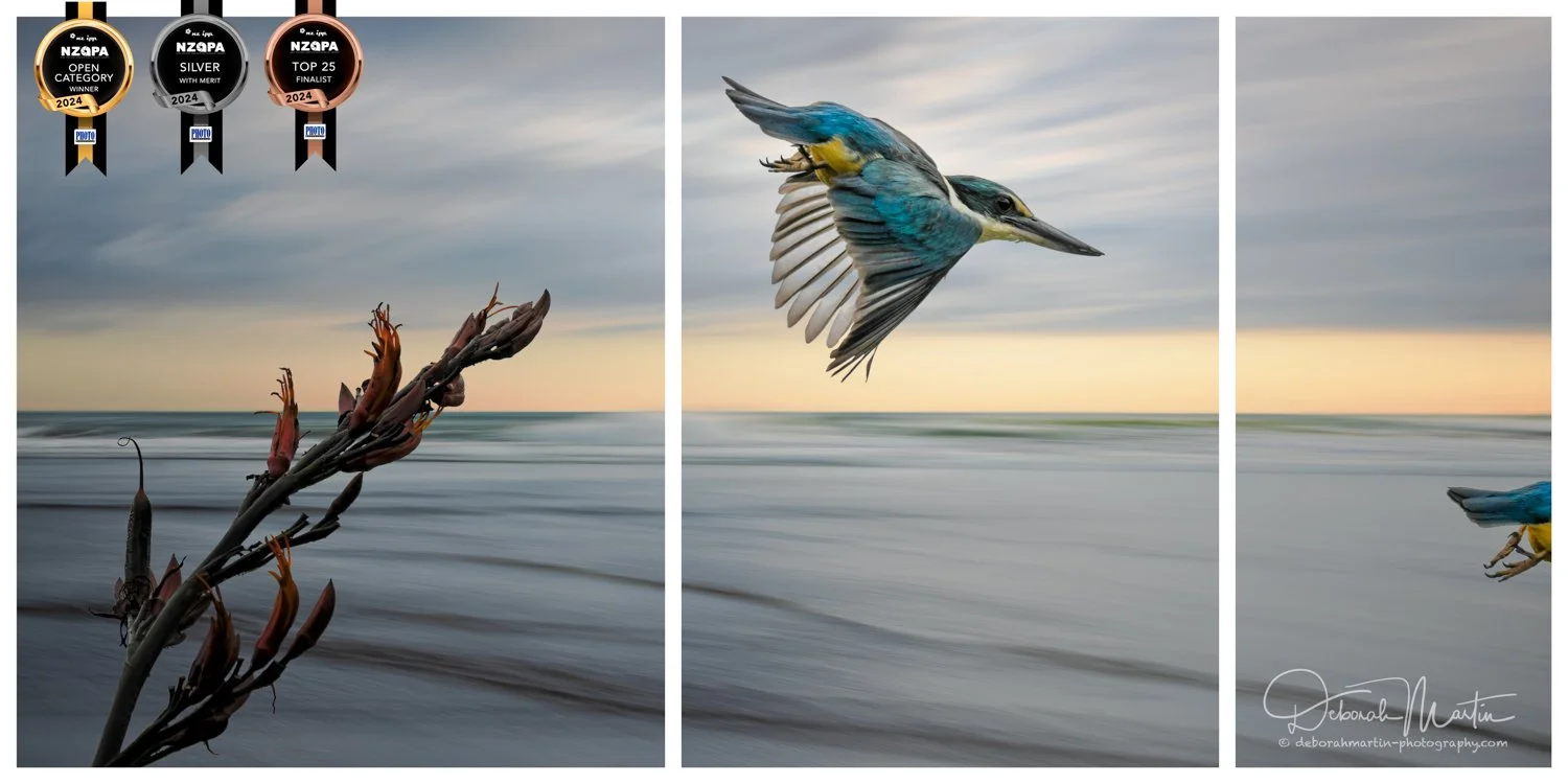 The KIngfisher's Tale