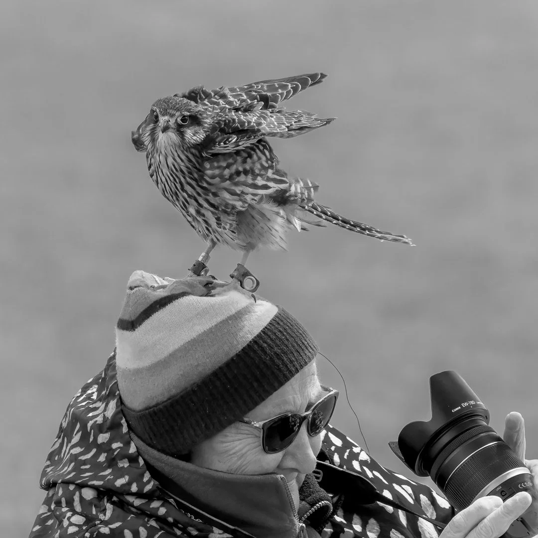 Never Miss a Shot - 2nd in Social Commentary, National Photojournalism Salon, 2023