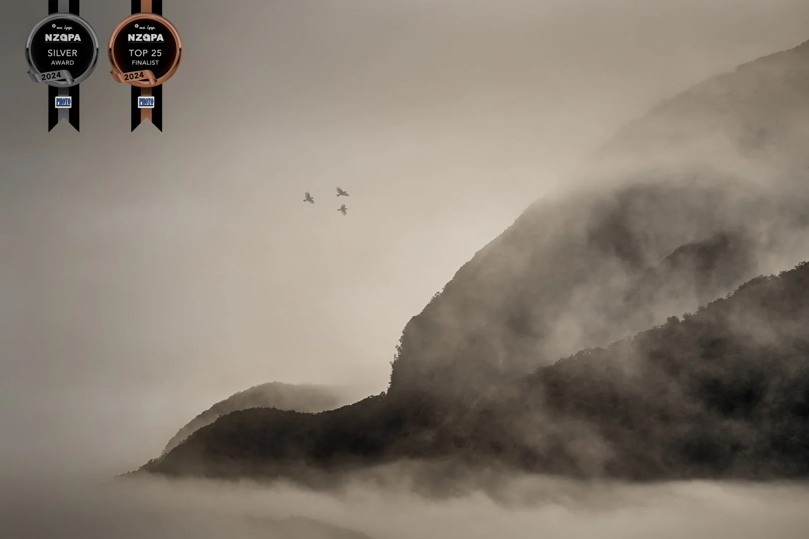 Caressed by Mist -Silver Medal, Top 25, NZIPP Amateur Photographer of the Year, Mar 2024