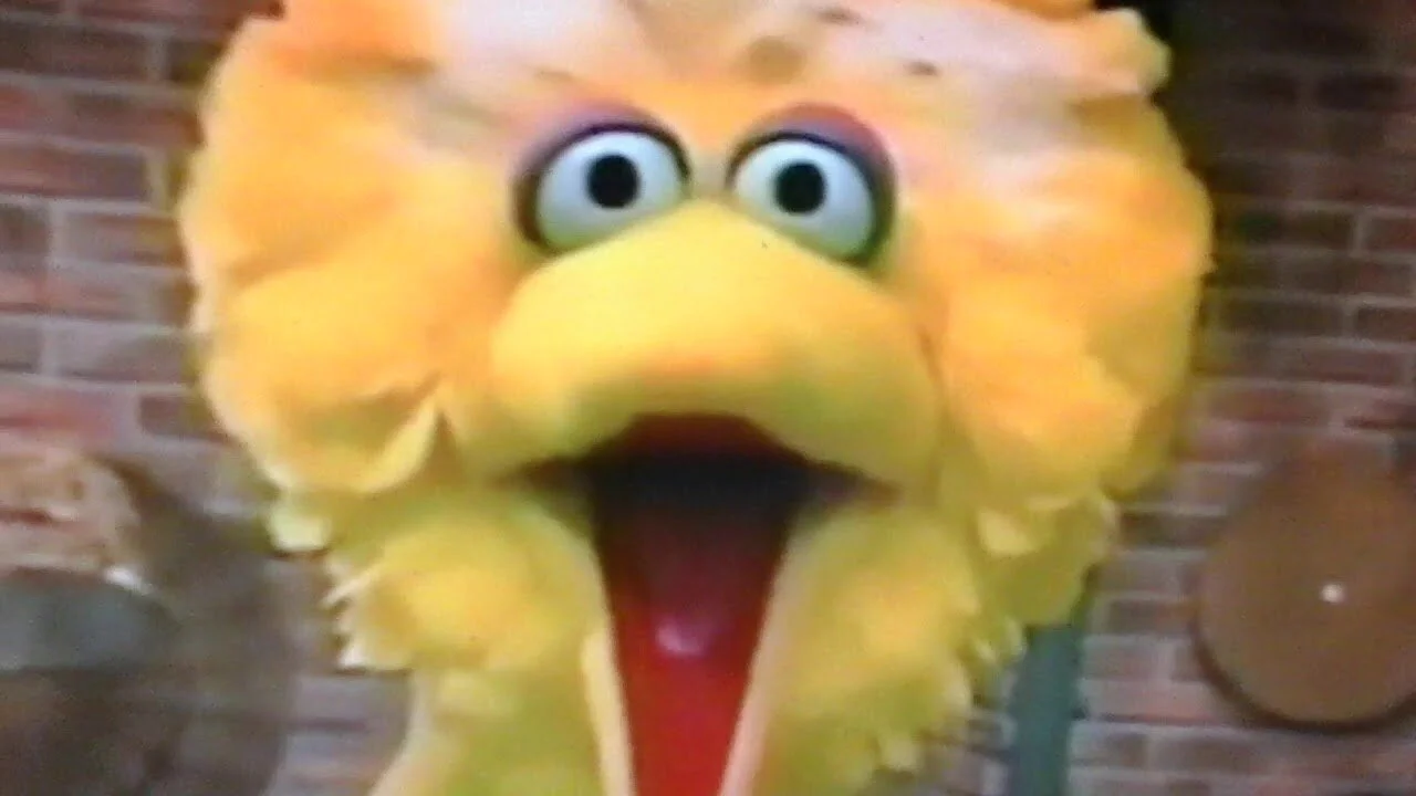 DFW: Democrats of Color tell Cracker-ass White Boy to Leave ‘Hood or Get Raped