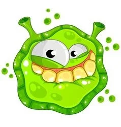 A virus that went into the van