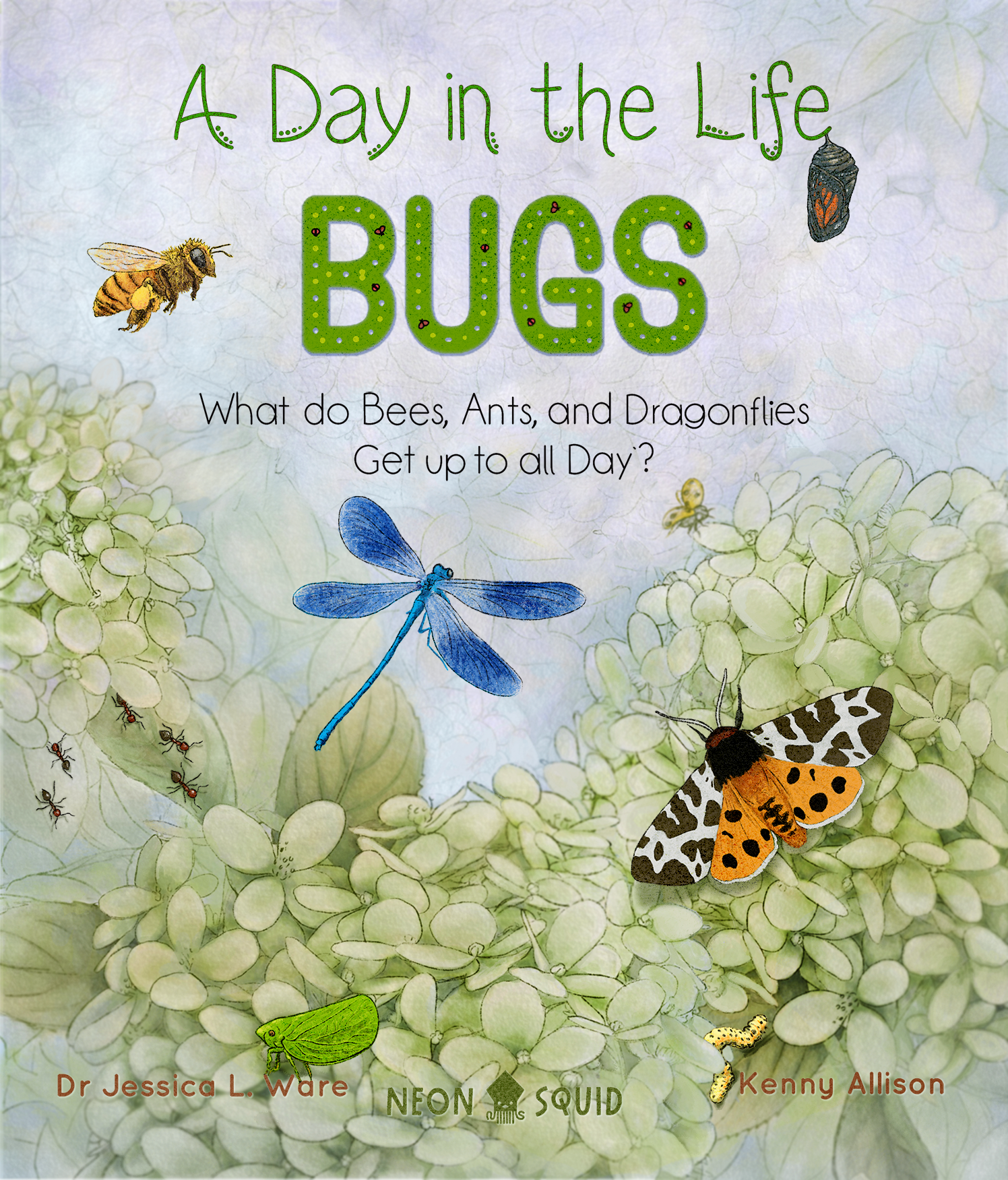 A Day in the Life: Bugs
Book Cover Design