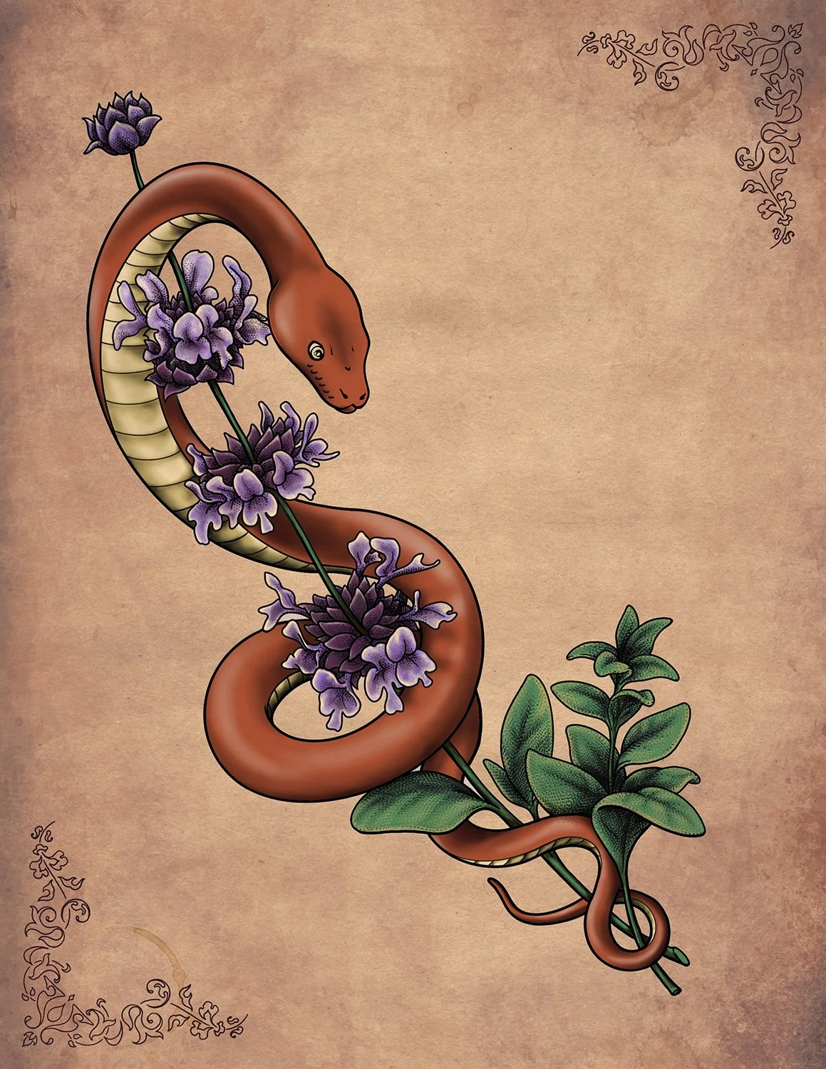 Snake and Sage (Protection)
Tattoo Design and Print