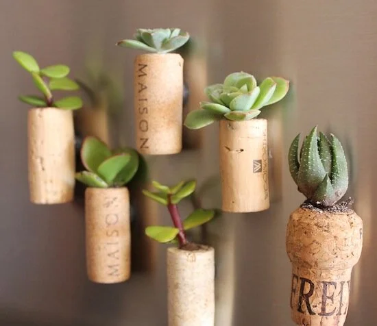Wine cork succulent kitchen magnet