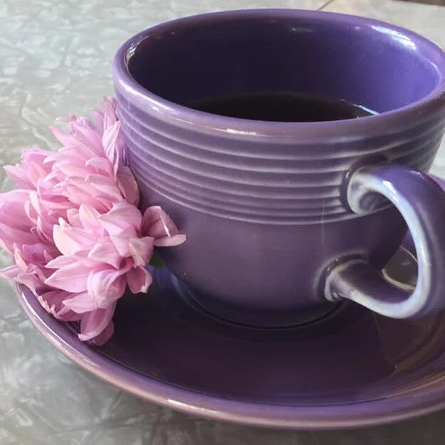 Fiestaware tea cup aloe planter