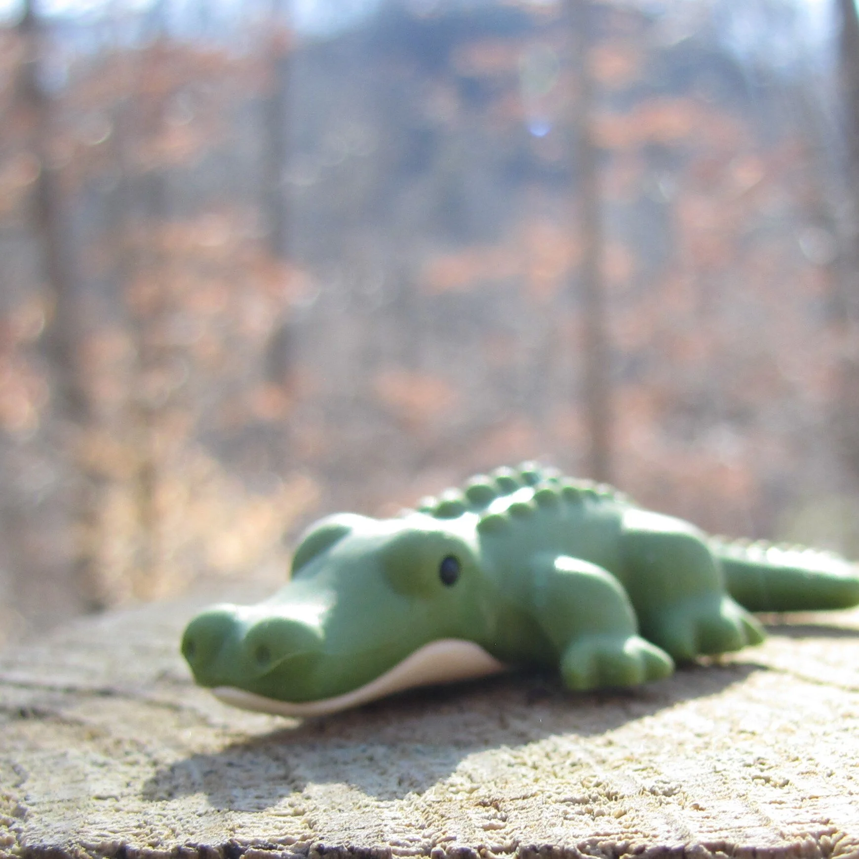 1 green croc.JPG