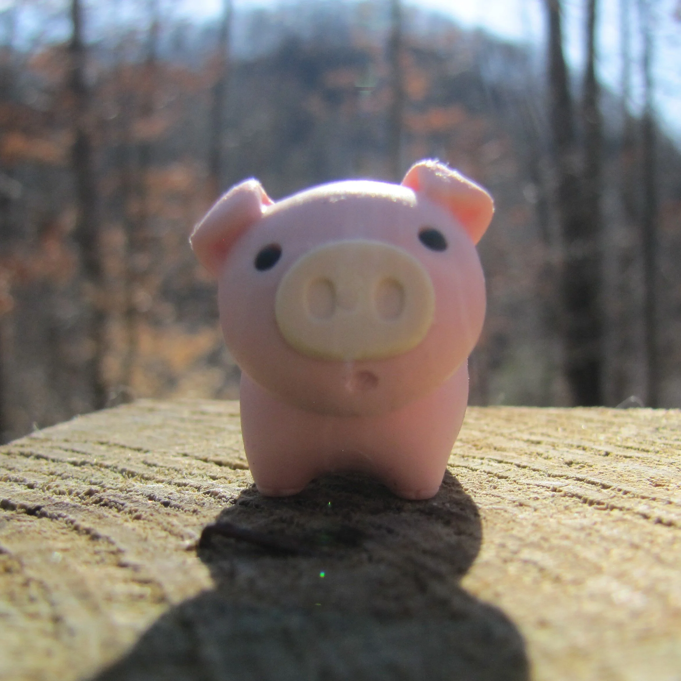 1 pink pig.JPG