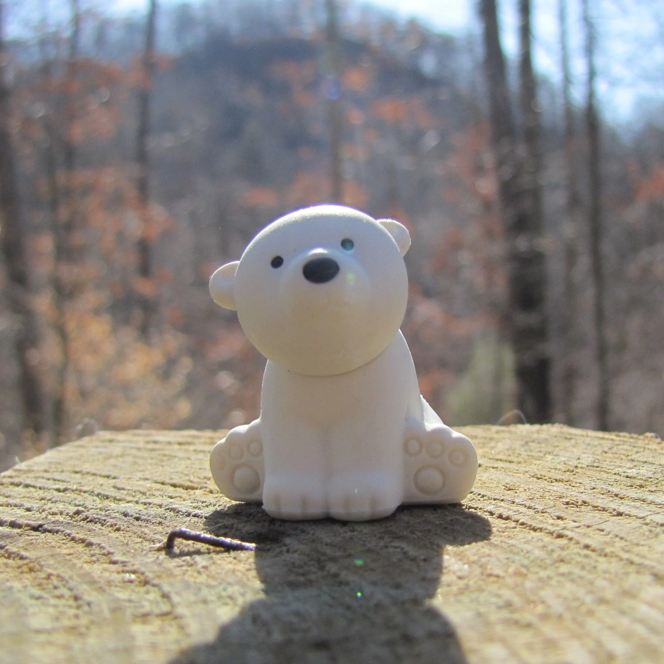 1 white polar bear (2).JPG