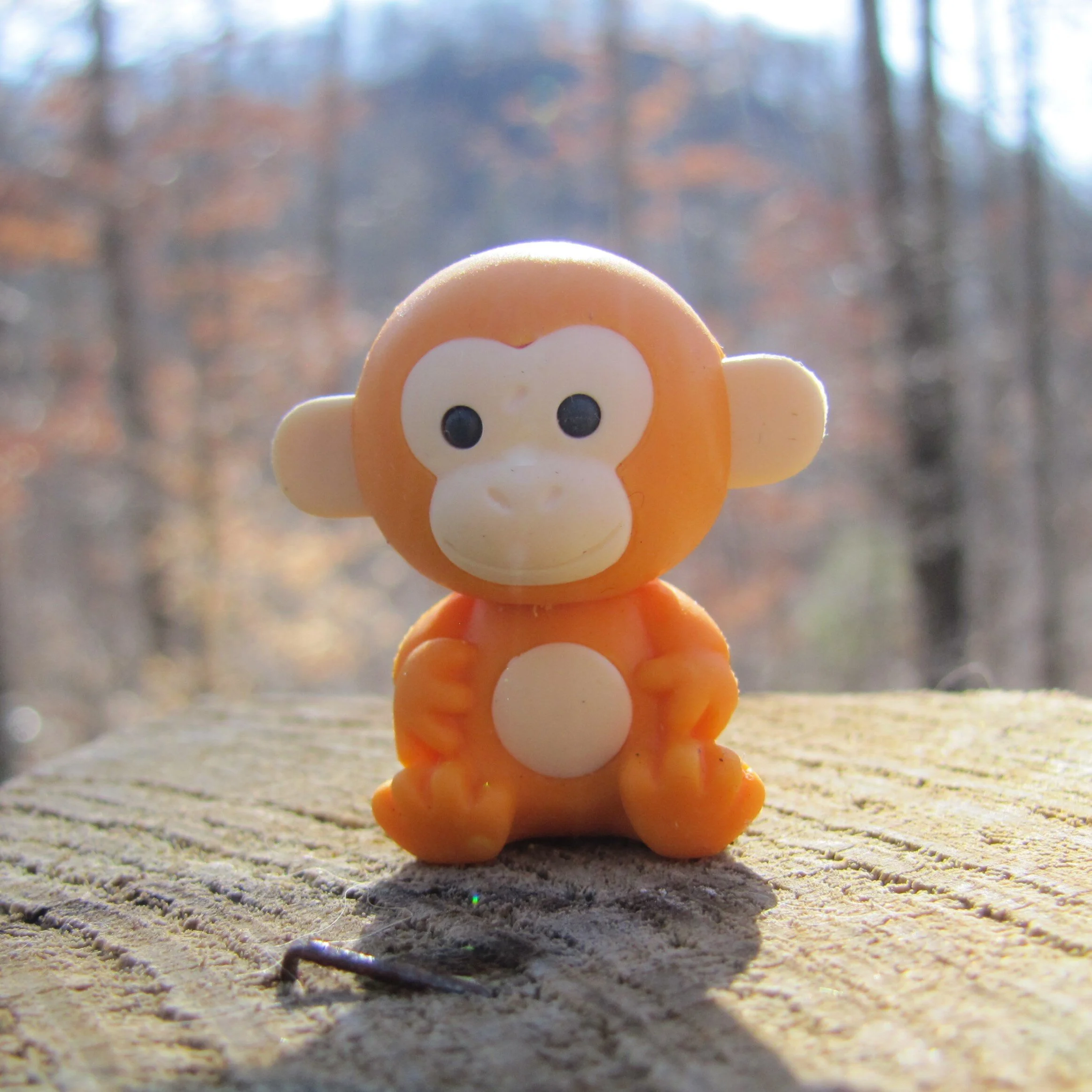 1 orange monkey.JPG
