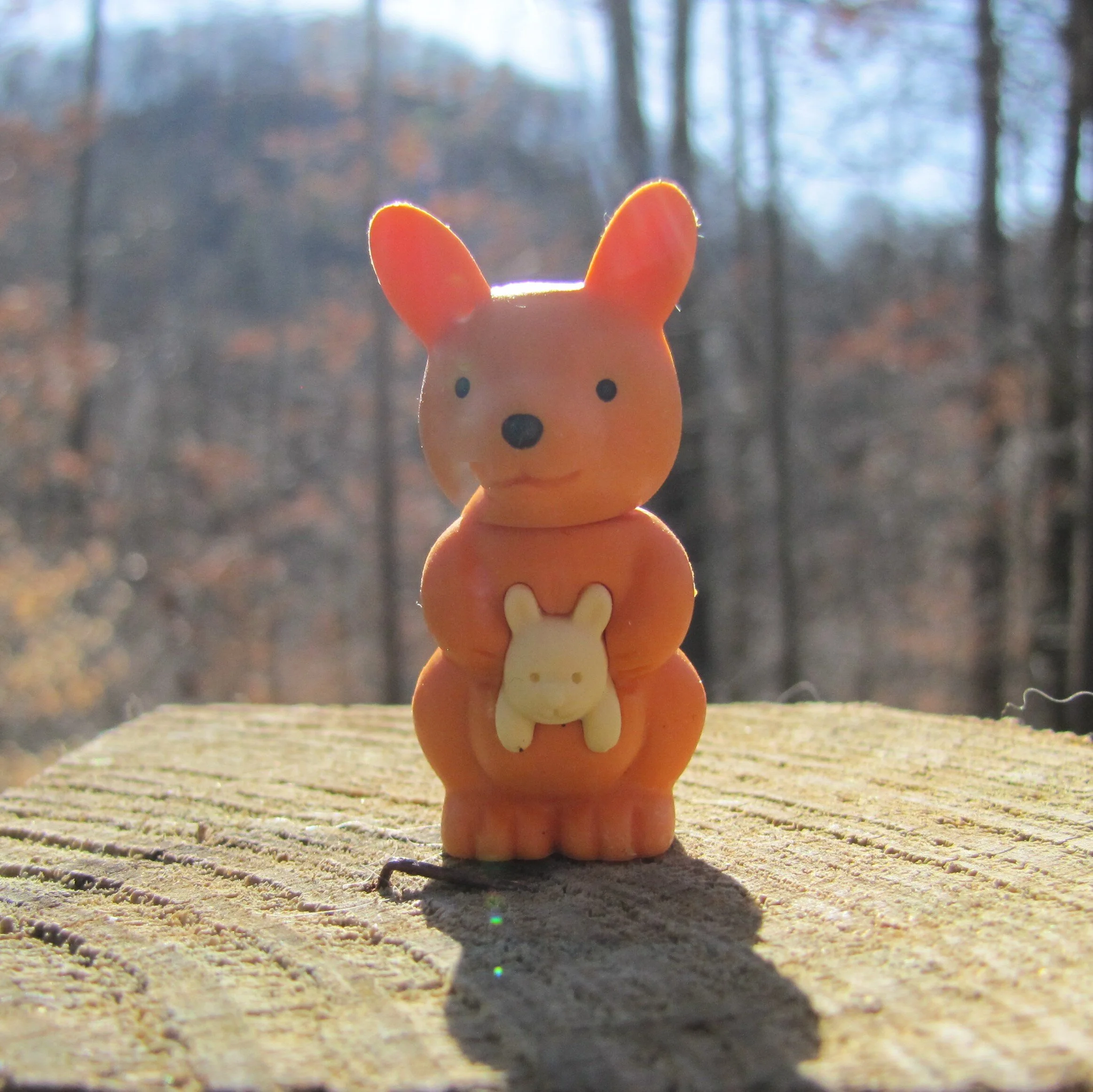 1 orange roo.JPG
