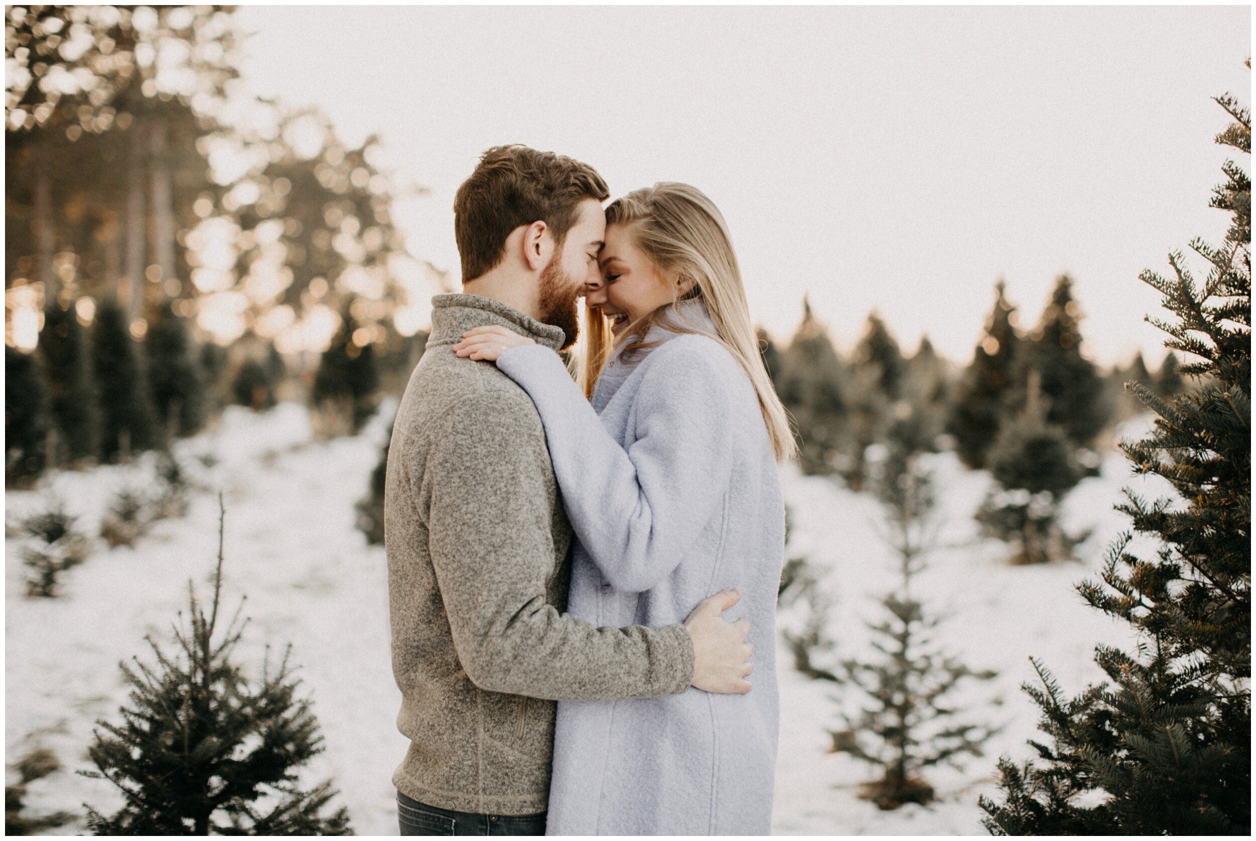 Engaged couple laughing while standing in snowy Minnesota Christmas tree farm during sunset
