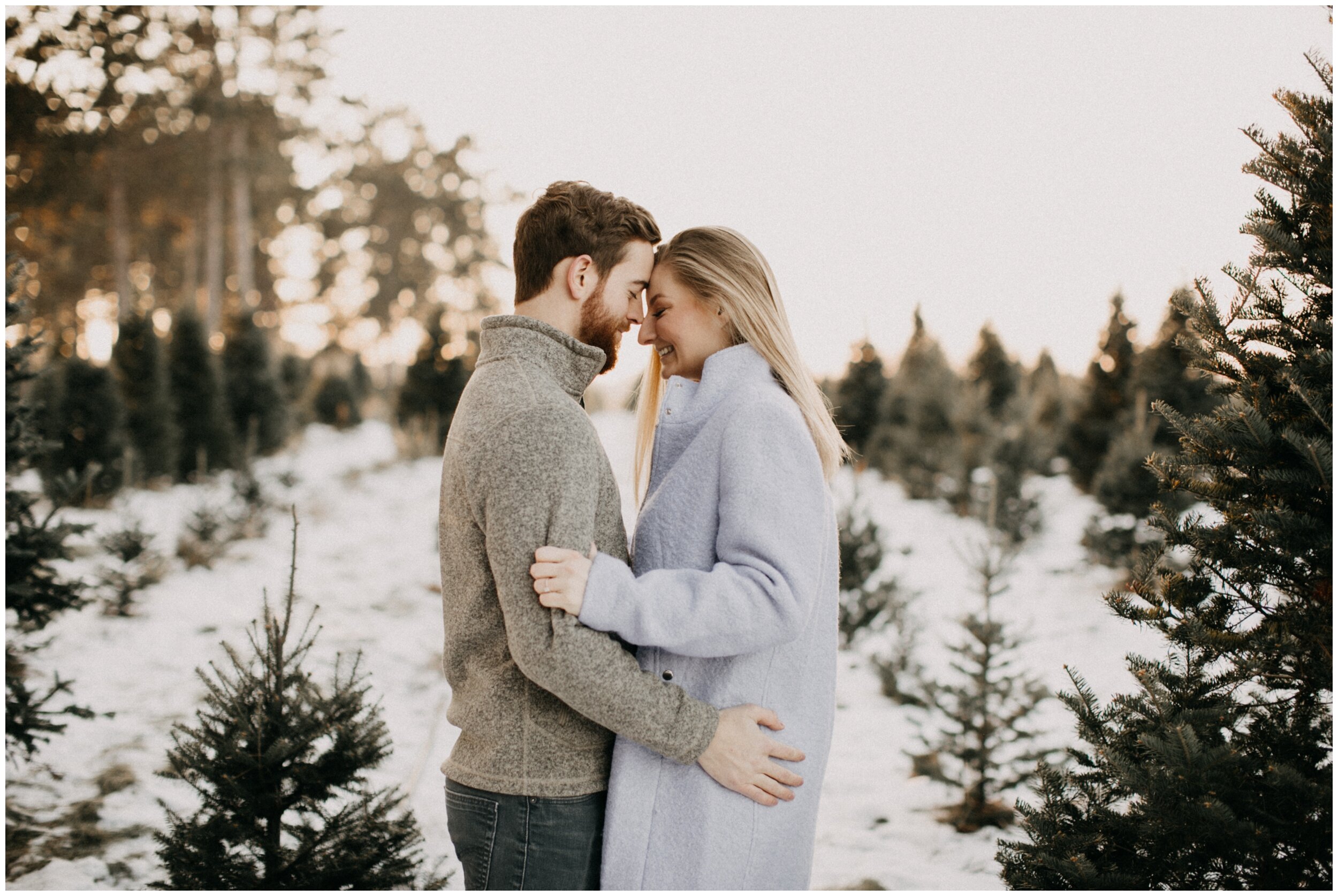 Engaged couple hugging at Minnesota Christmas tree farm during sunset