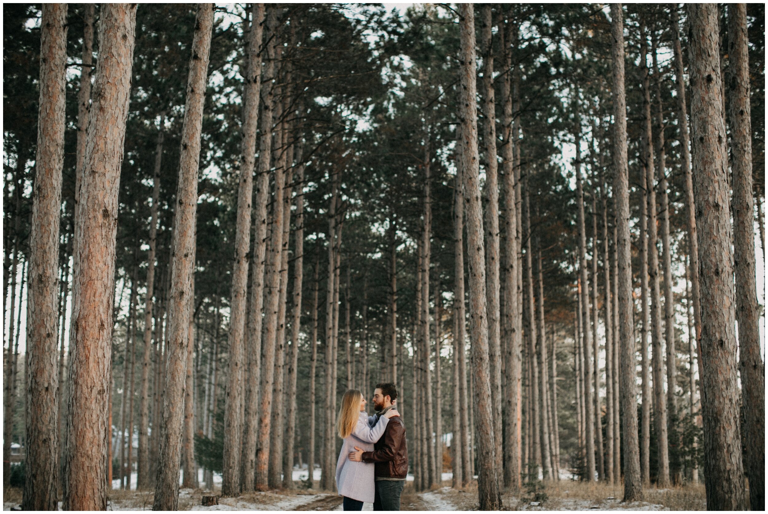 Engaged couple standing in Minnesota pine tree forest 