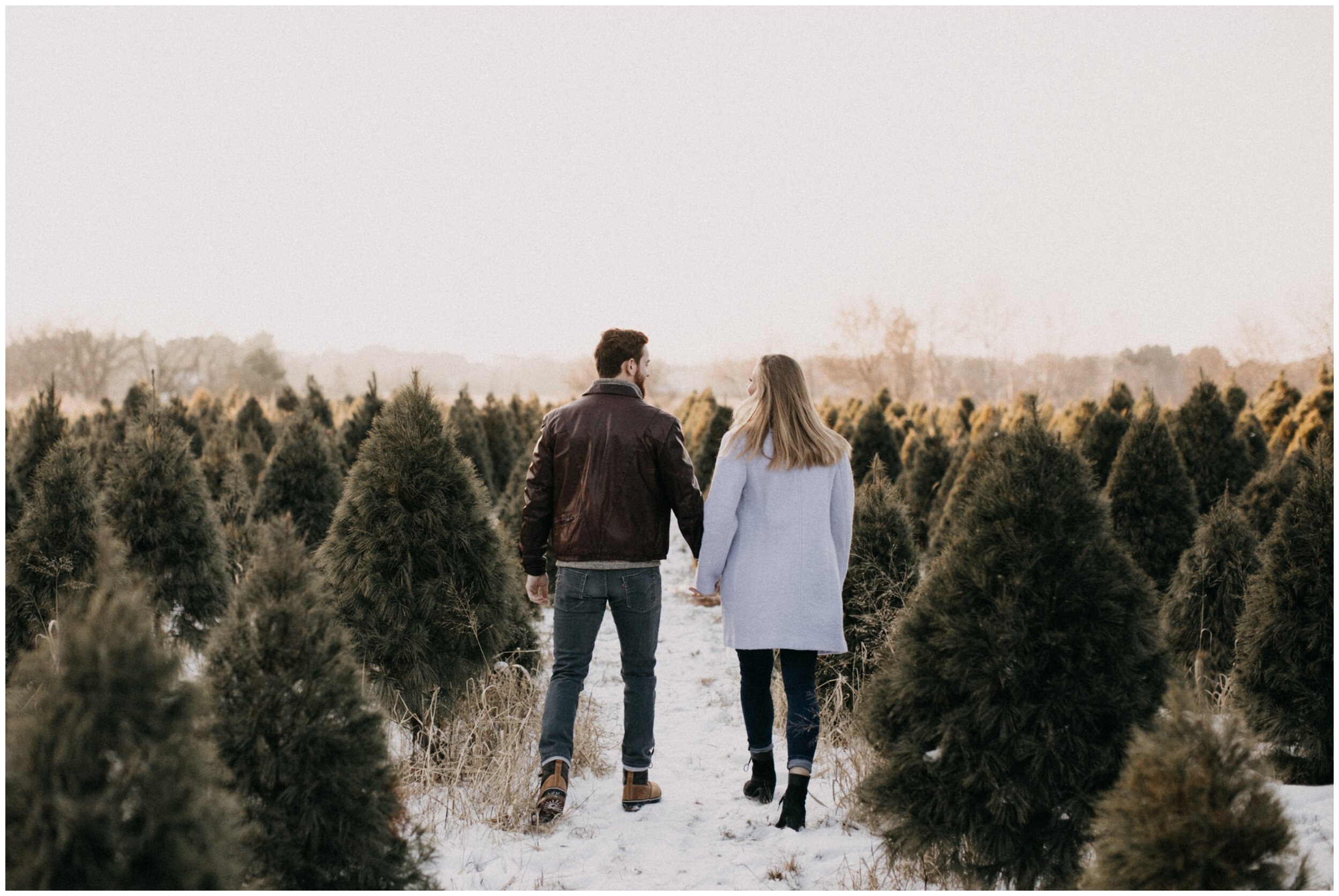 Couple walking through Christmas tree farm in Minnesota