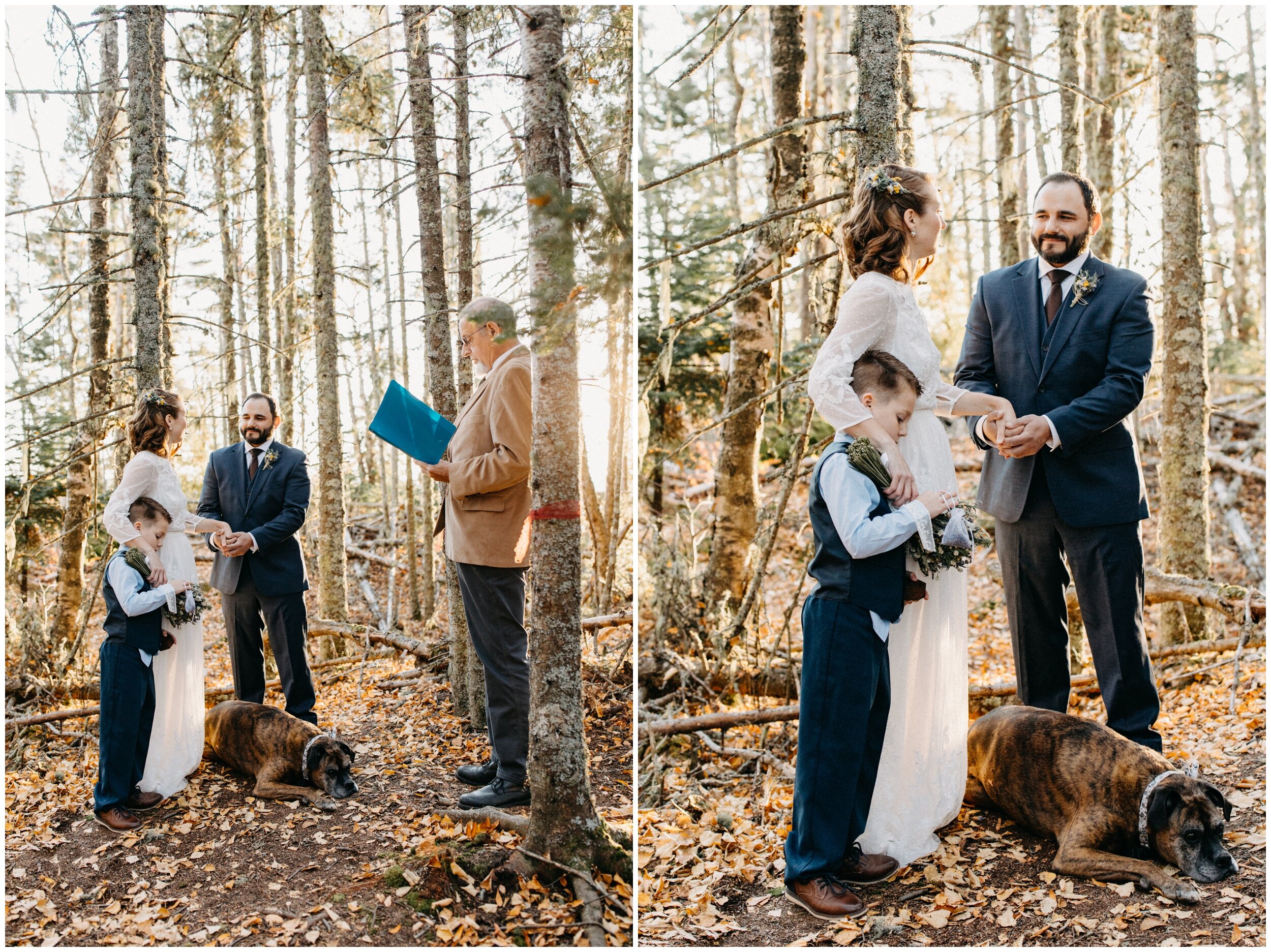 Intimate Artists' Point wedding ceremony in the woods
