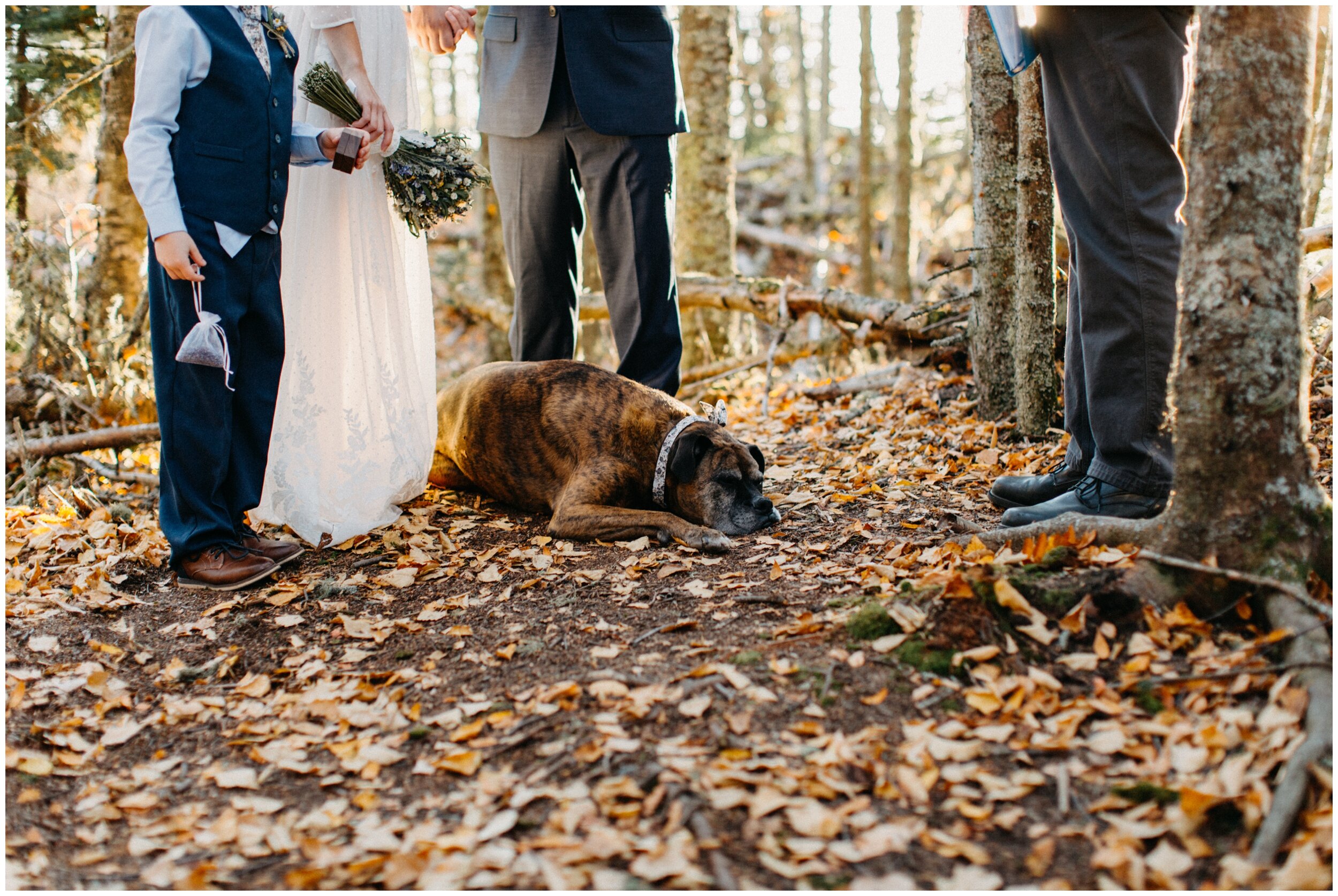 Bride and groom with dog during wedding ceremony in the woods on Artist Point
