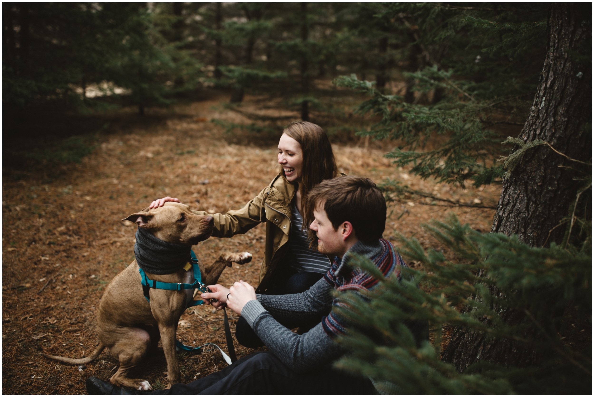 Couple playing with their dog in a pine tree forest during Brainerd, Minnesota engagement session