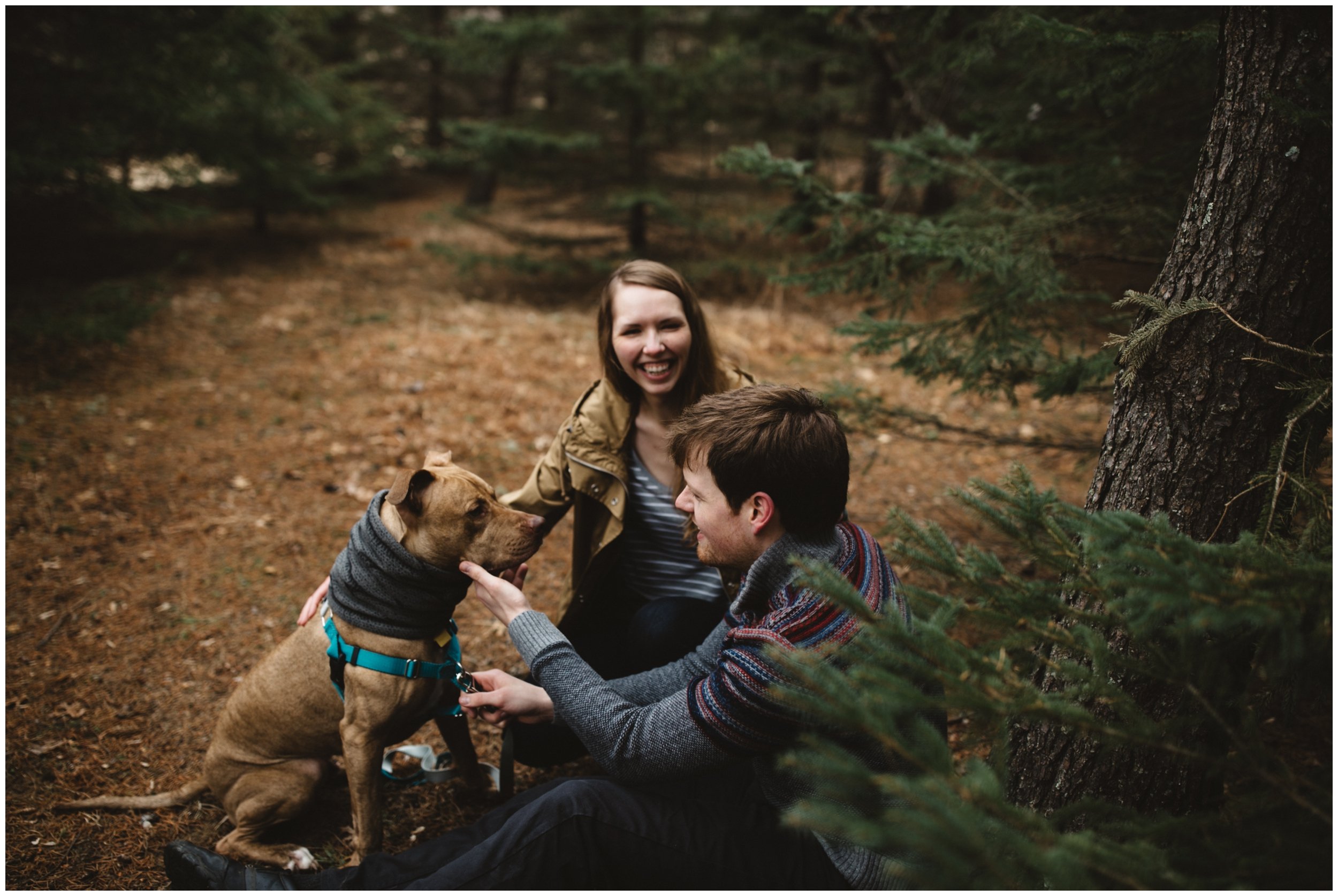Engaged couple playing with their dog in the woods in Brainerd, Minnesota