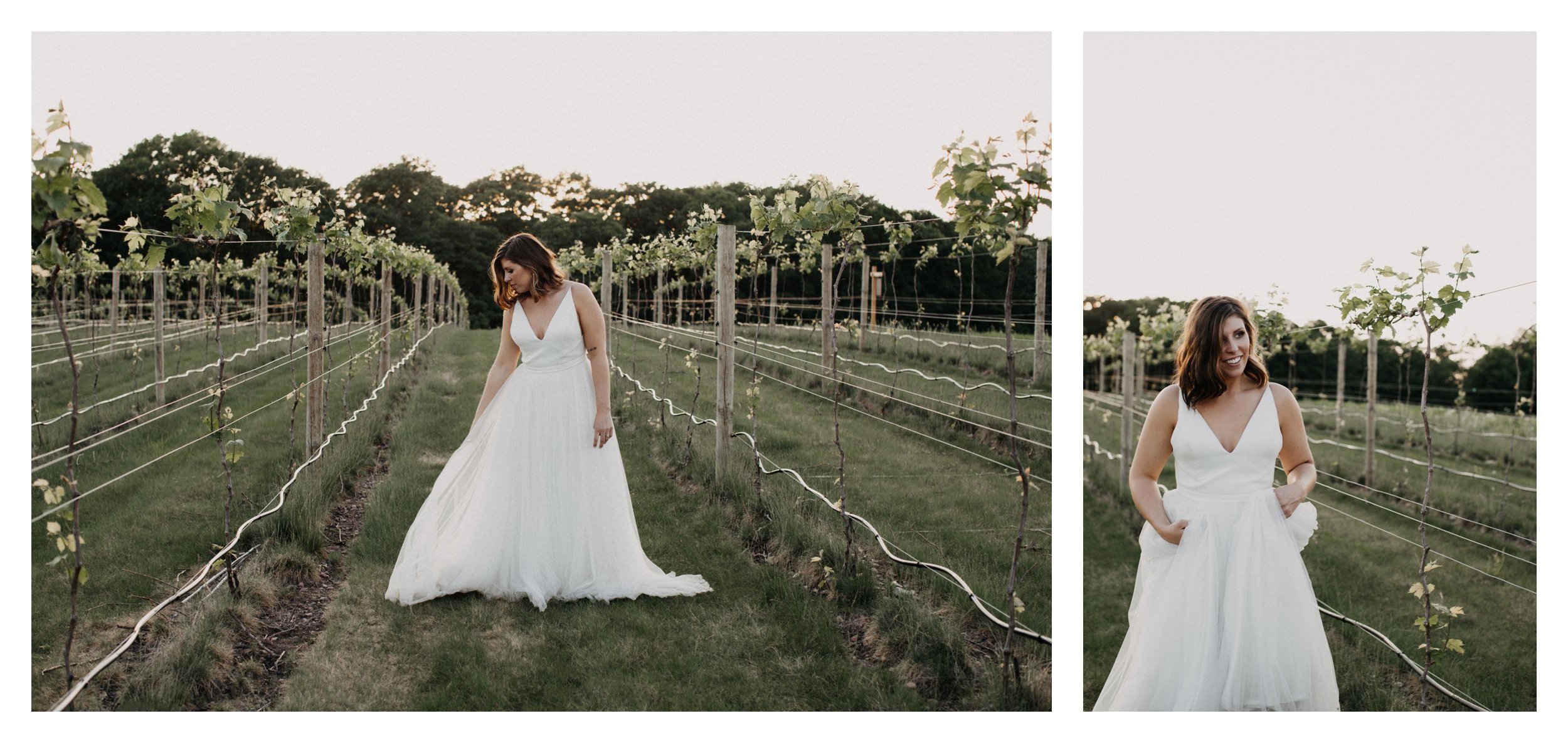 Bride walking in vineyard during sunset at Minnesota winery wedding