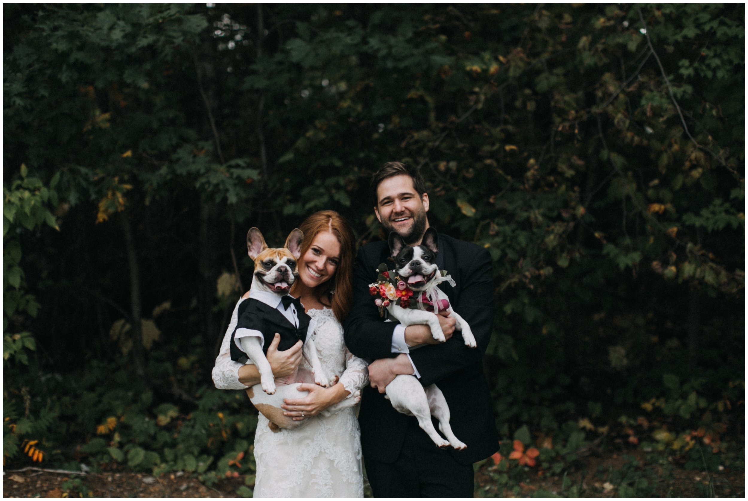 Bride and groom holding french bulldogs at Gull Lake cabin wedding in Nisswa, Minnesota