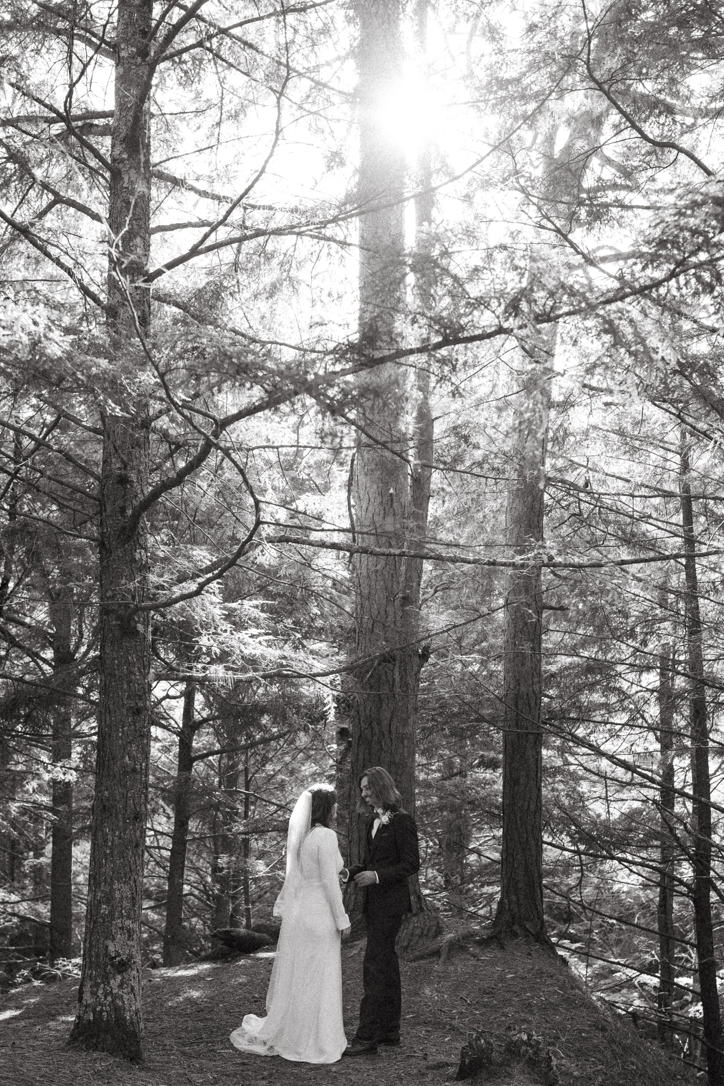 Couple holding hands in a sunlit pine forest