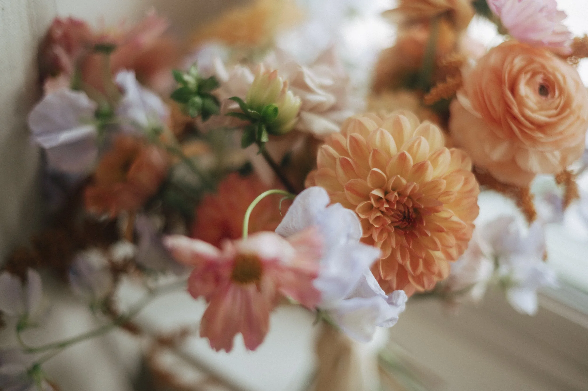 siobhan-james-somewhere-inn-wedding-danielle-mcfaul-photography-1.jpg