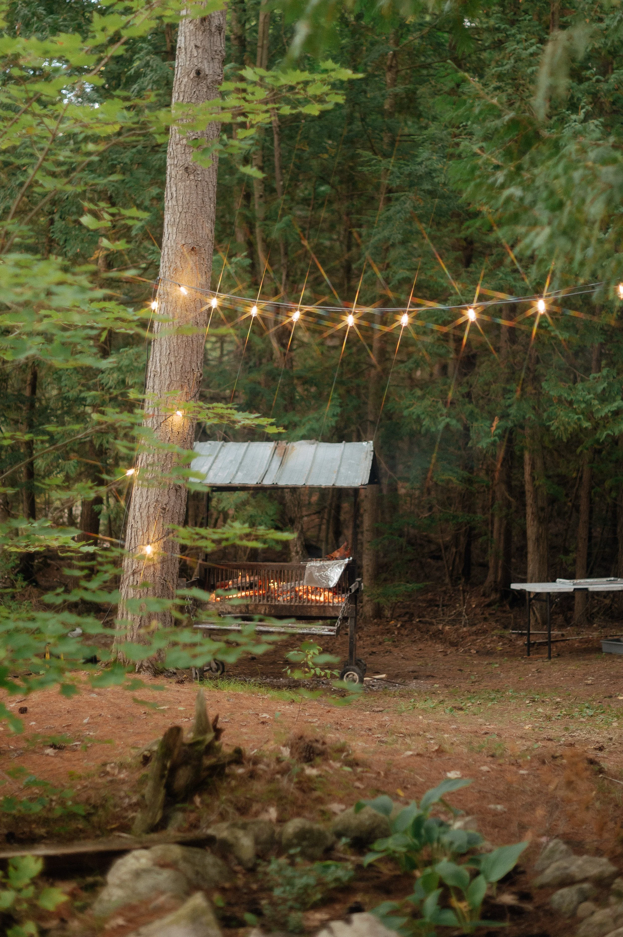 michele-chris-cottage-wedding-danielle-mcfaul-photography-101.jpg