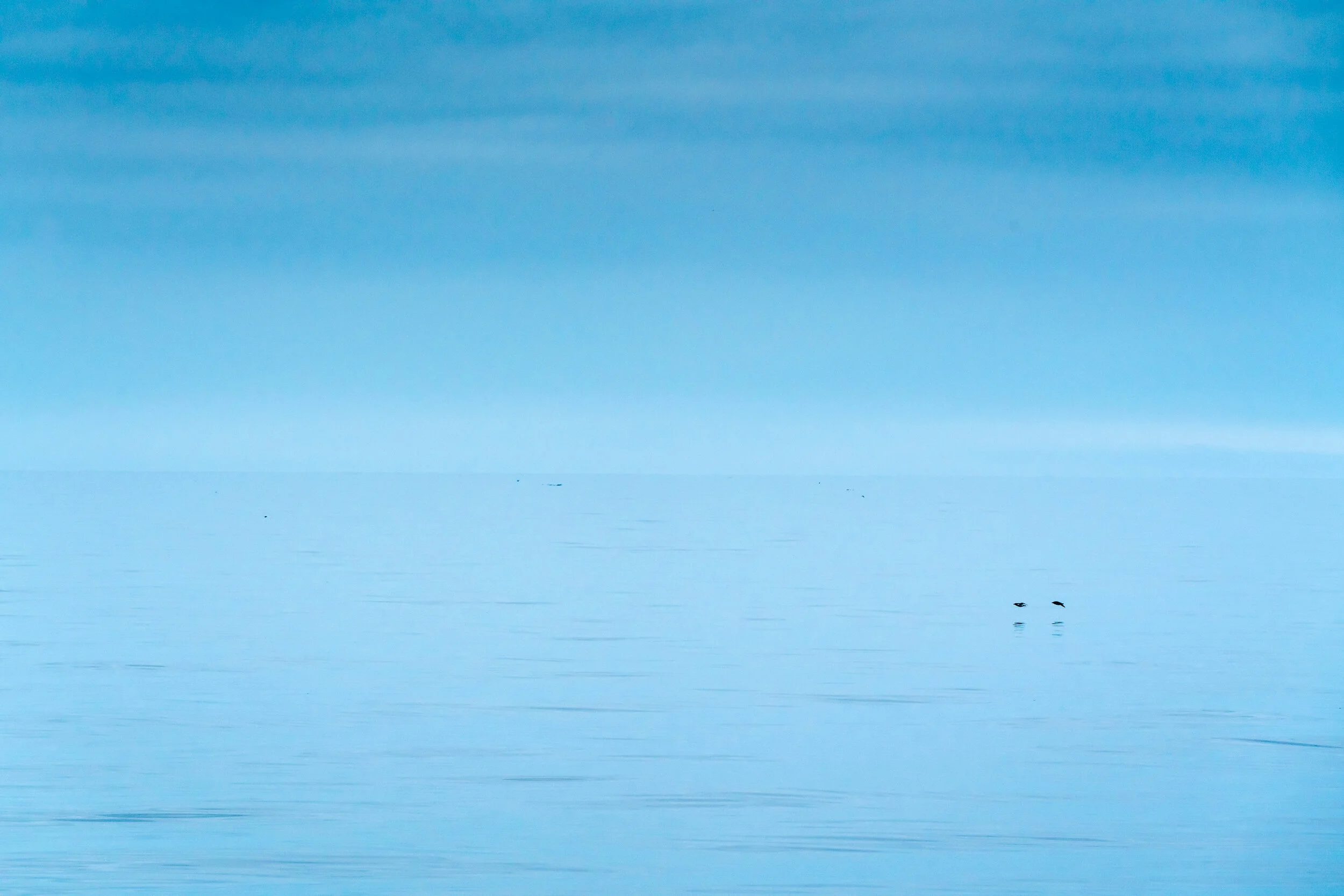 Horizon, 2018, Svalbard