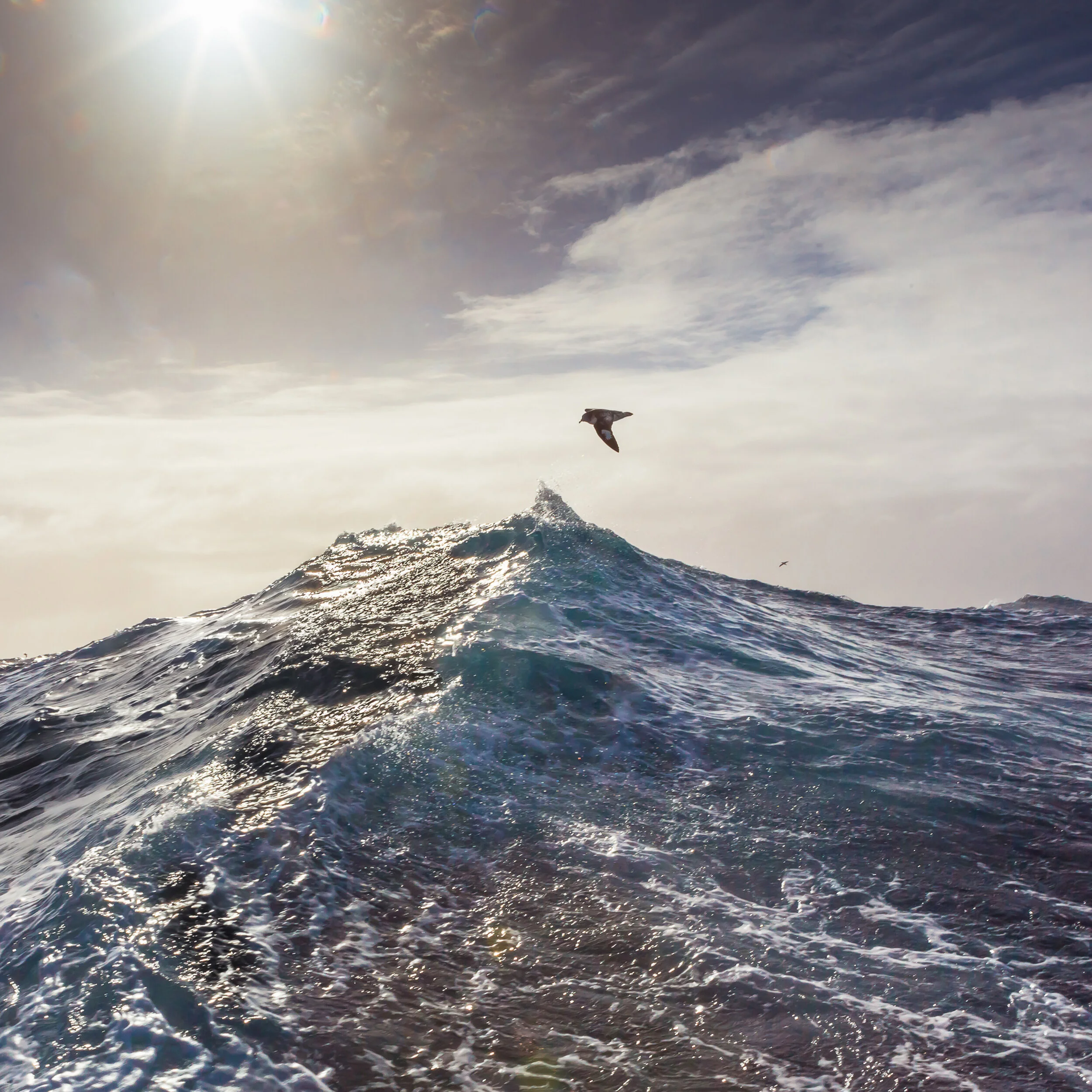 Passage I, 2014, Drake Passage