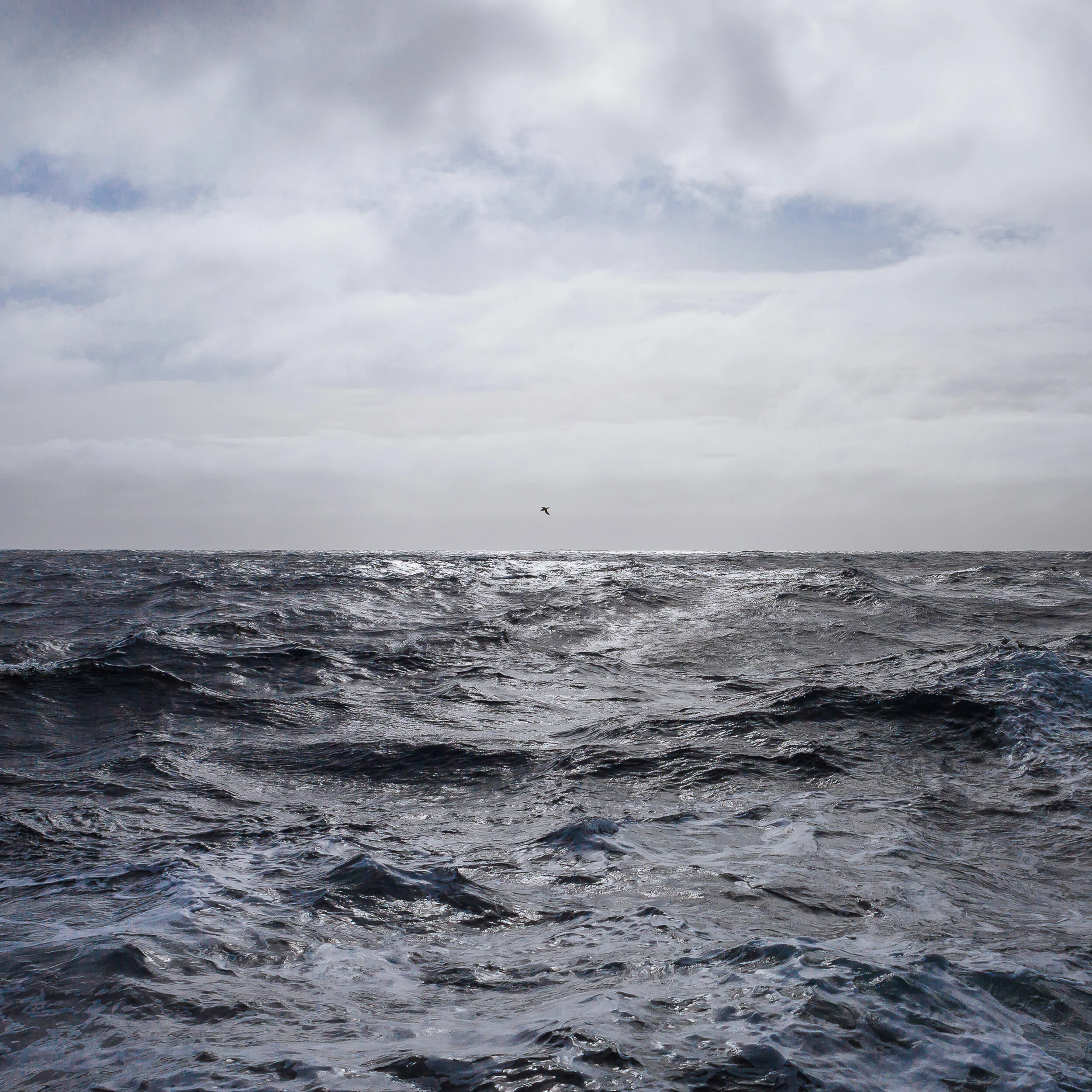 Passage II, 2014, Drake Passage