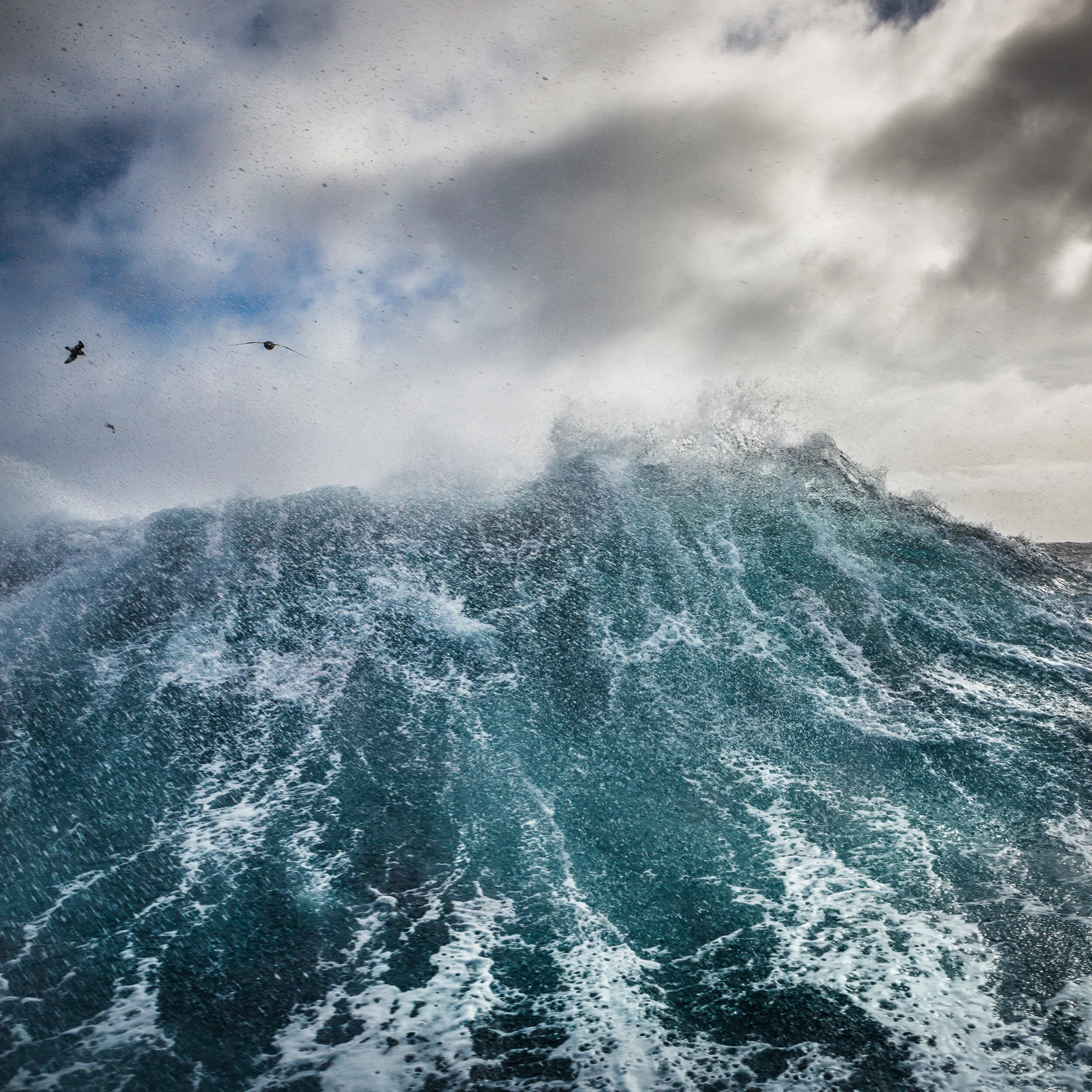 Passage V, 2014, Drake Passage