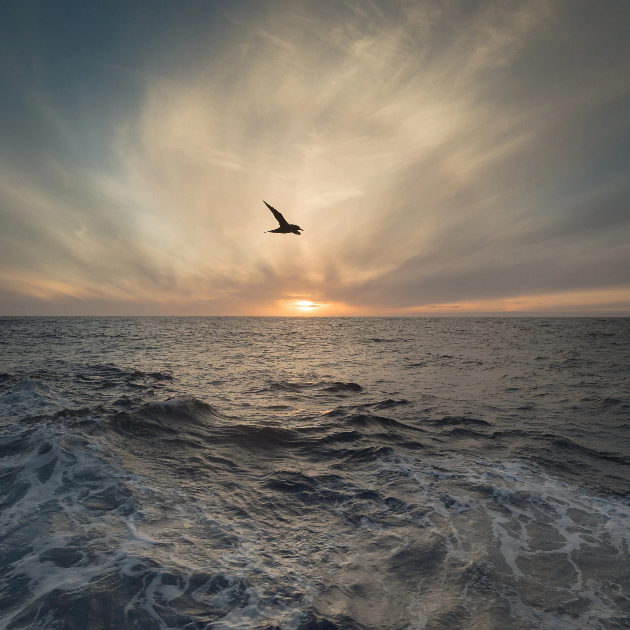 Passage VII, 2014, Drake Passage