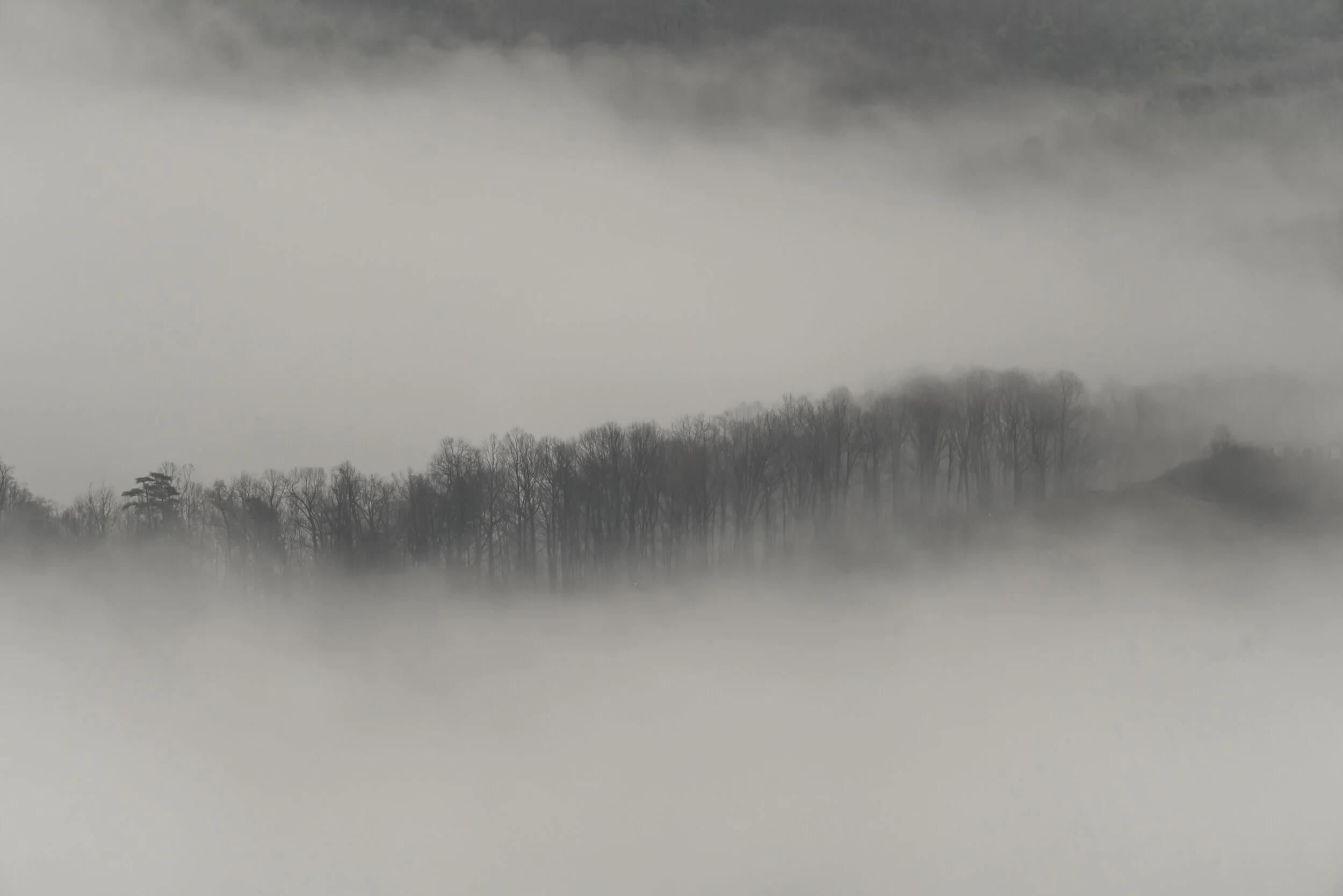Fog II, 2020, Virginia