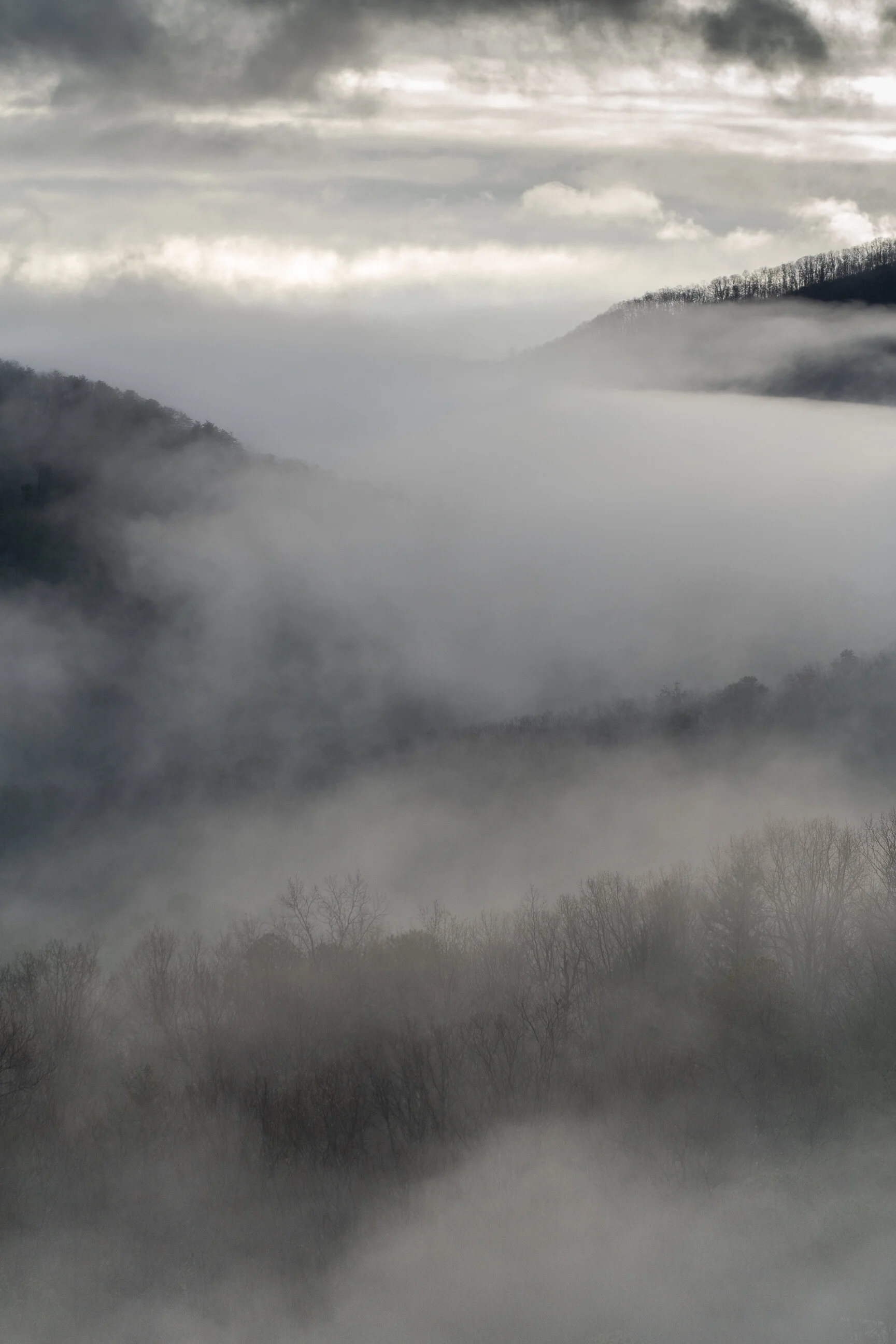 Fog III, 2020, Virginia