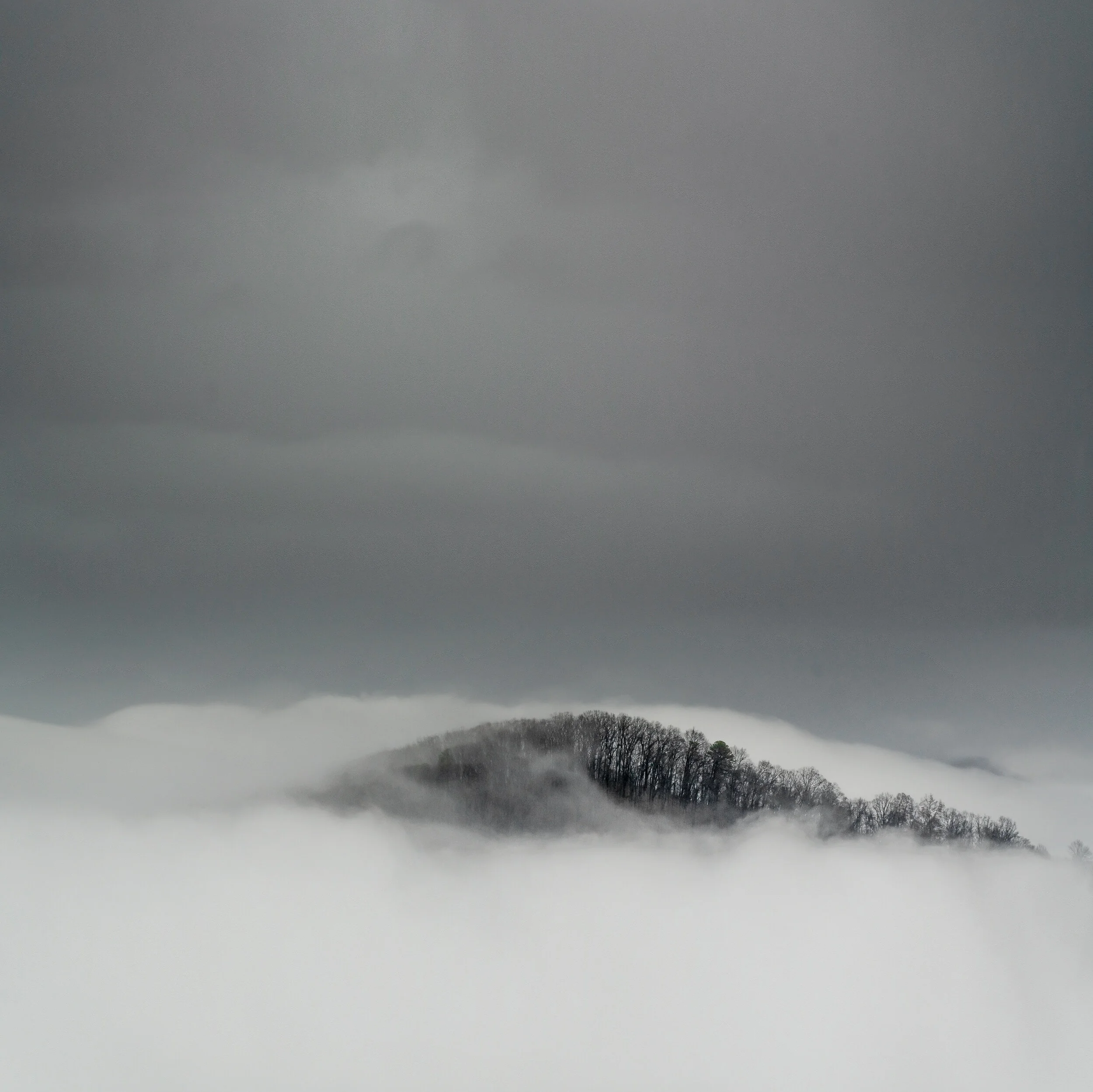 Fog I, 2020, Virginia