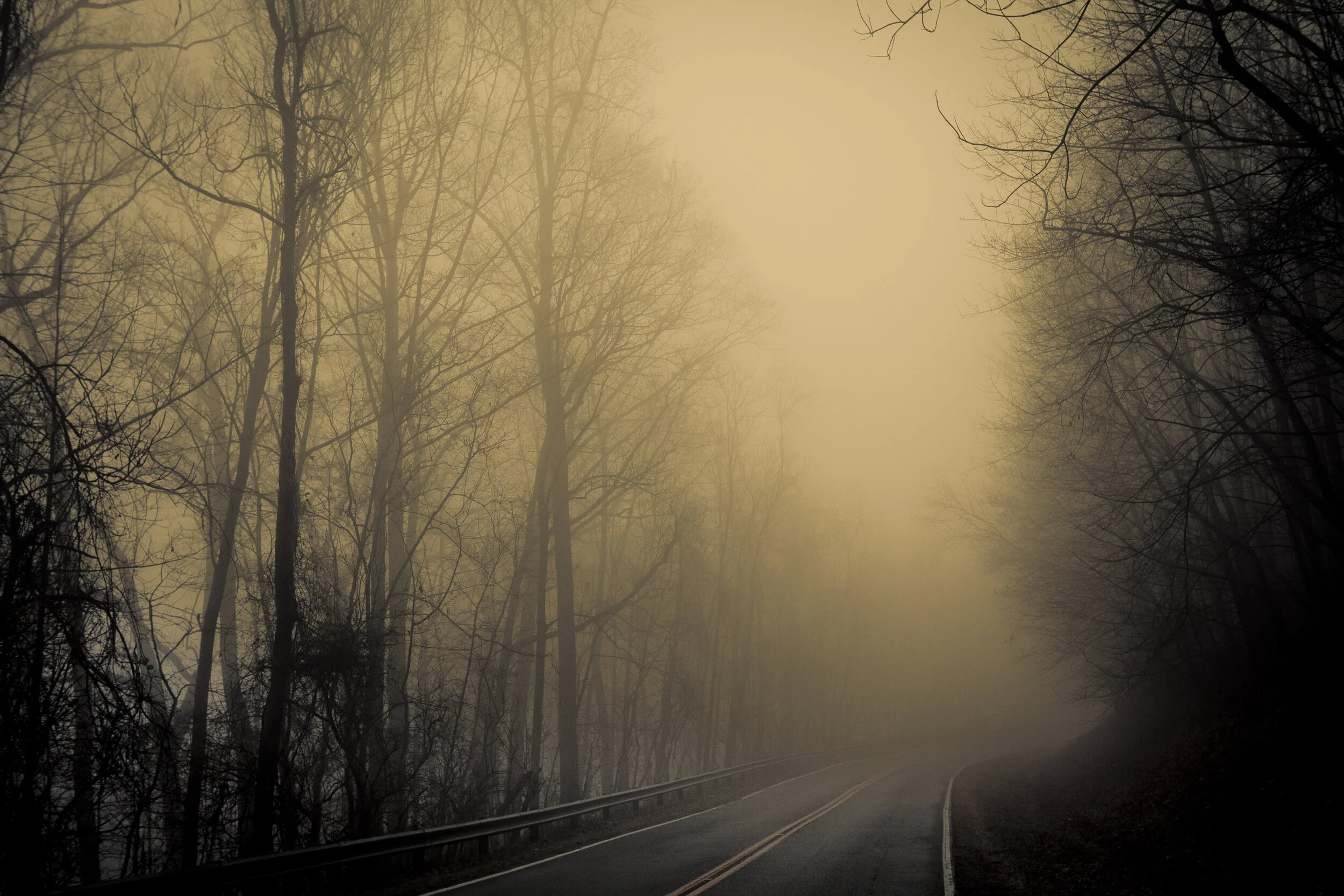 Prufrock's Fog, 2011, Virginia