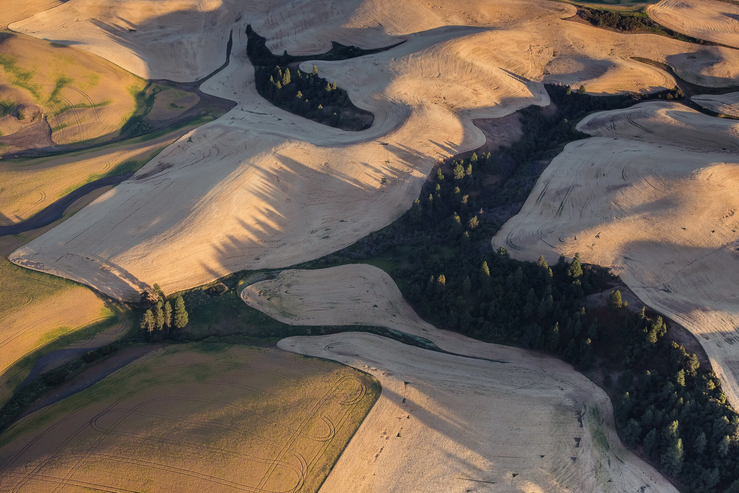 Palouse II, 2012, Washington