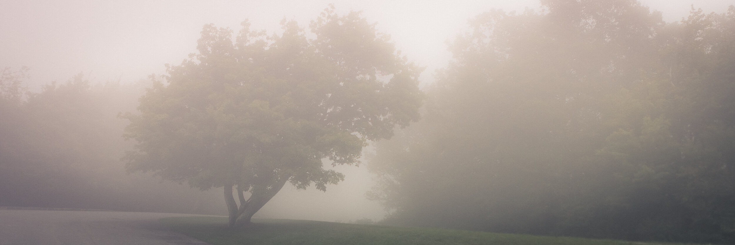 Scapes XVII, 2012, Virginia