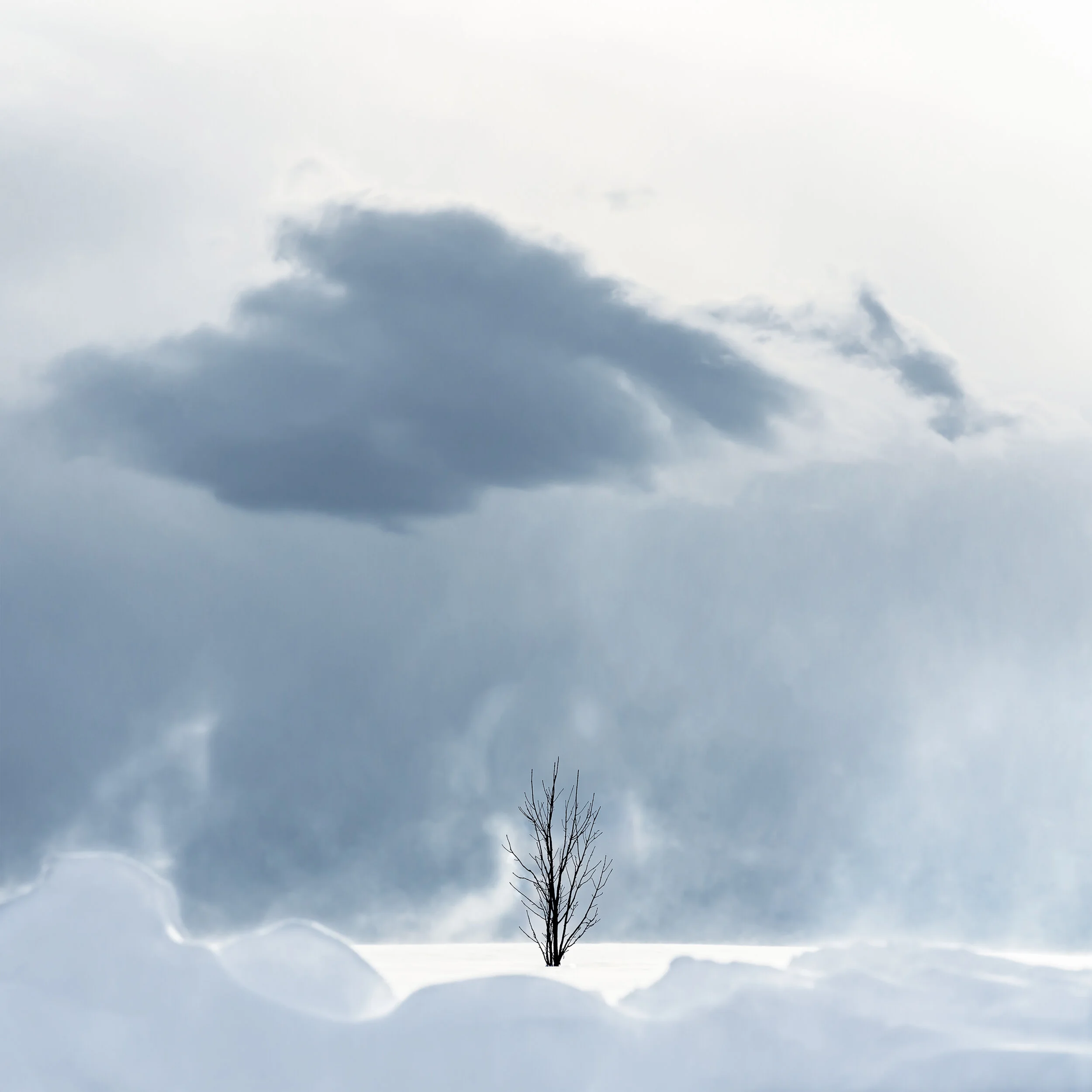 Sentinel, 2018,Hokkaido