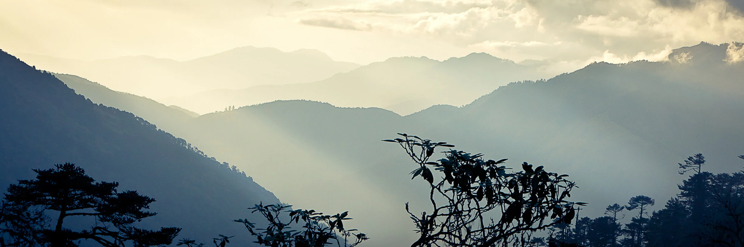 Scapes XIV, 2012, Bhutan