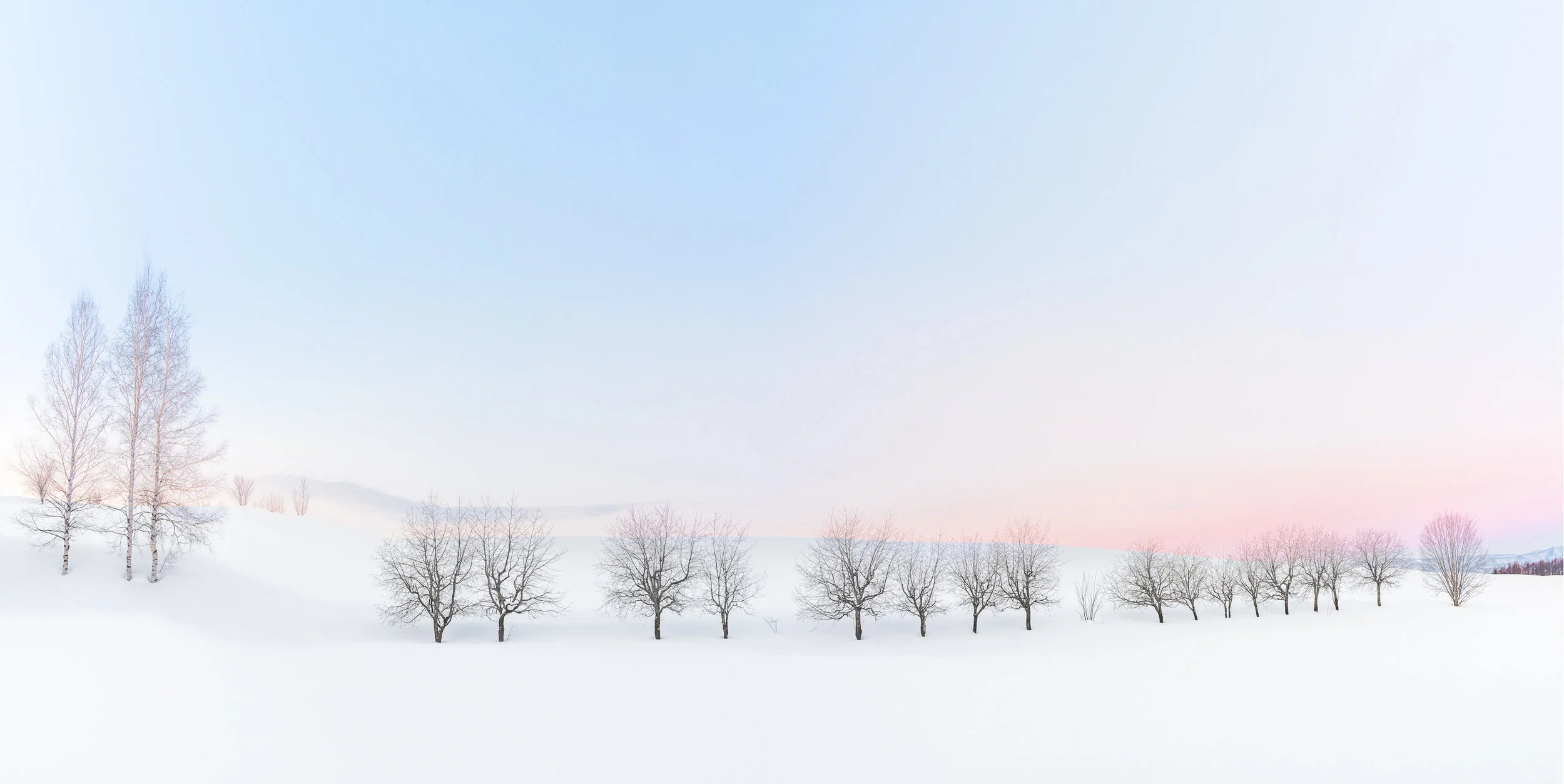 Treeline_2018_Hokkaido.JPG