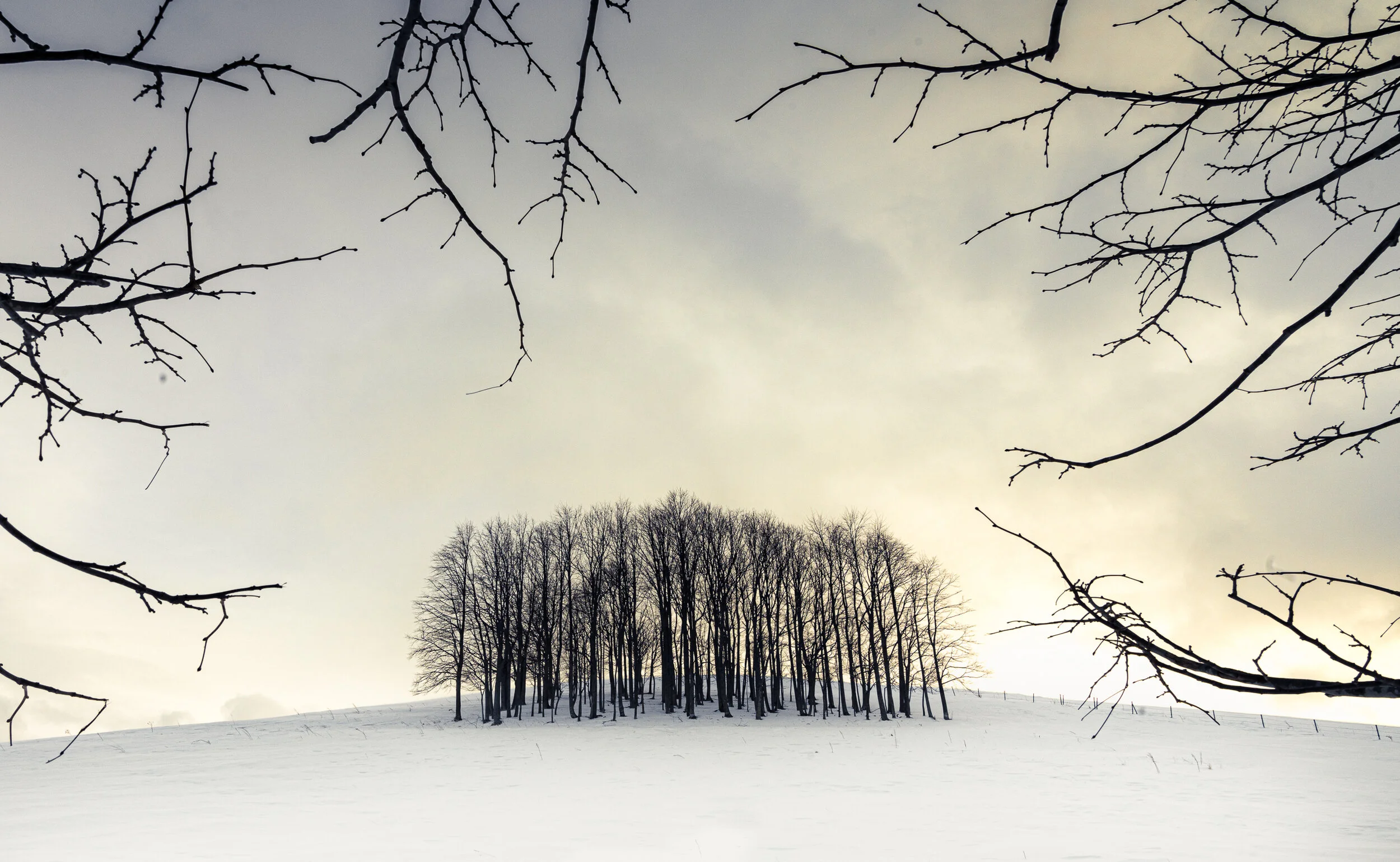 Hokkaido II, 2018, Japan