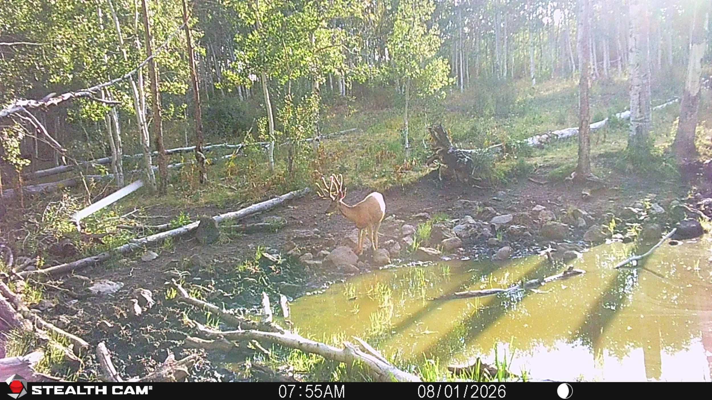 STC_0639.JPG