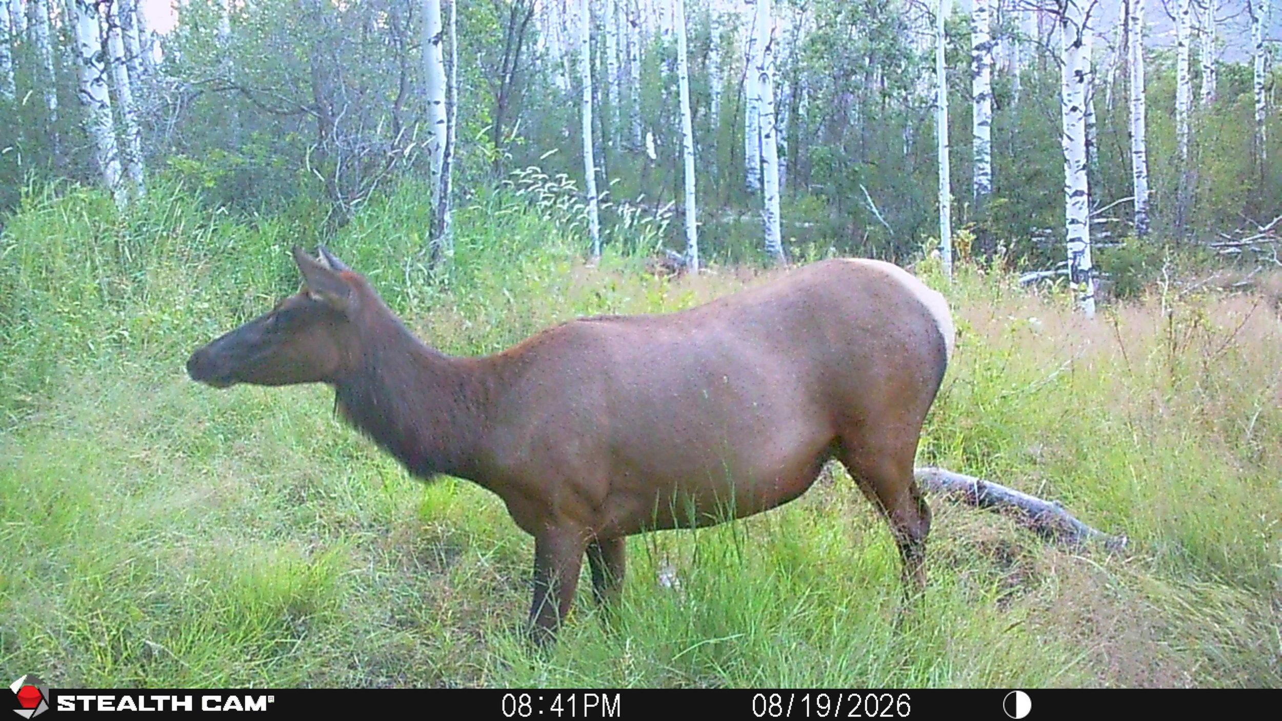 STC_0953.JPG