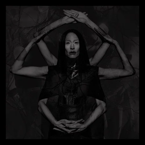 PCMF-Bestial Mouths