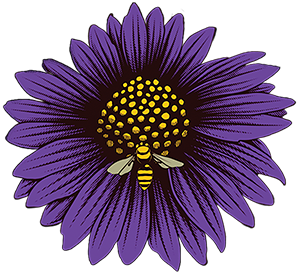 Purple City Music Festival